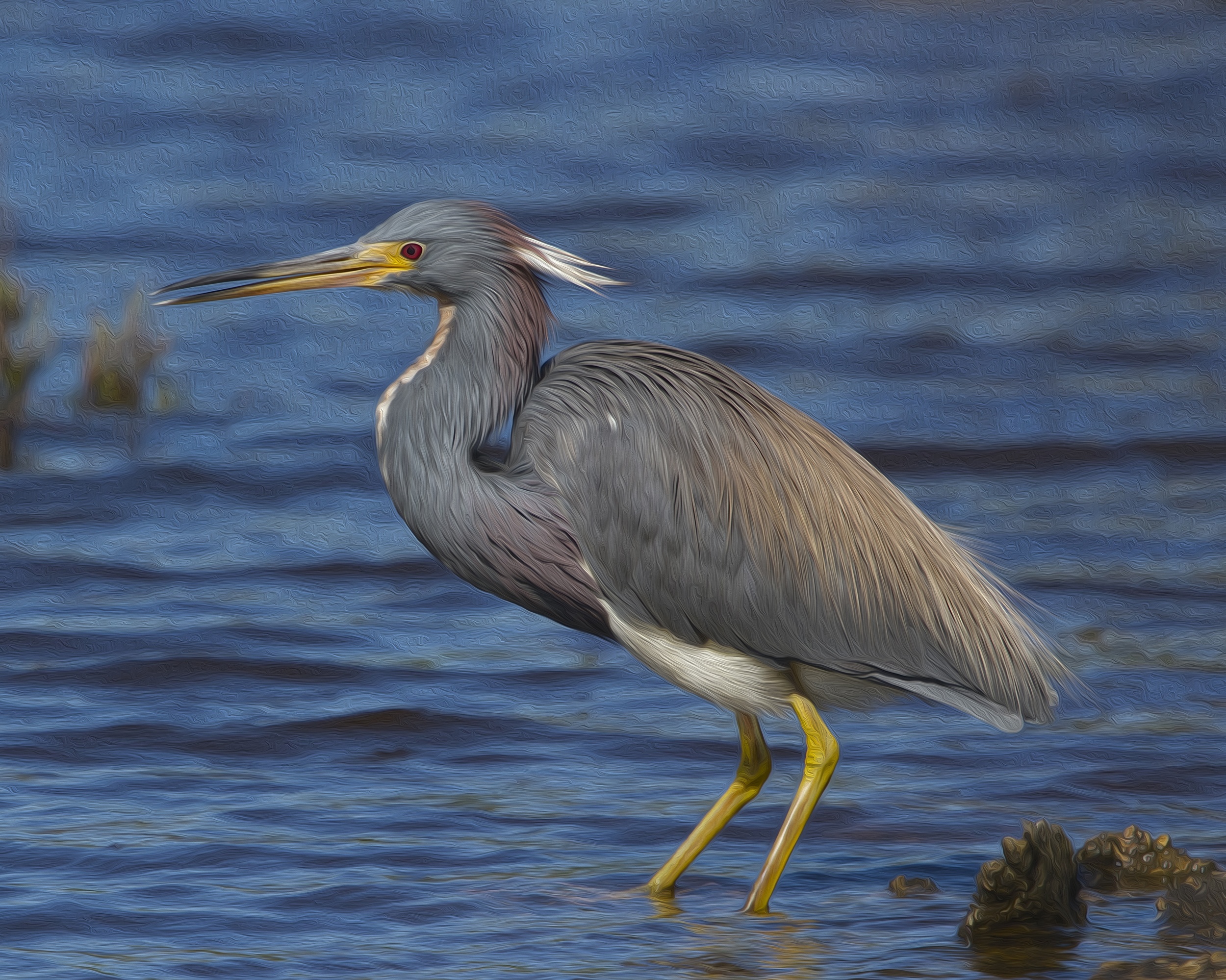 I applied a similar artistic canvas oil painting texture effect to this Tricolored Heron photo..best seen if you enlarge your screen.