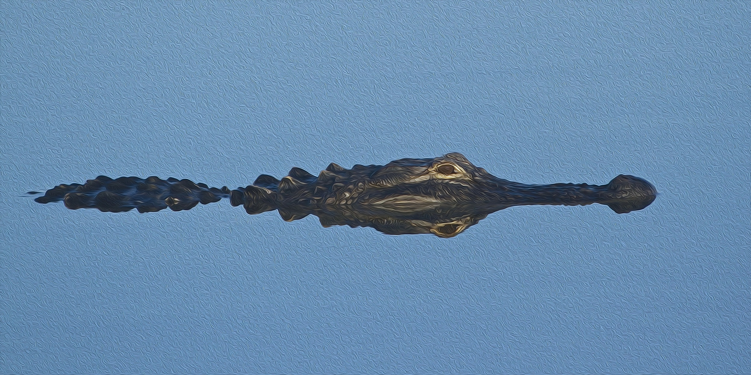 I used the same artistic effect on this gator reflection photograph.