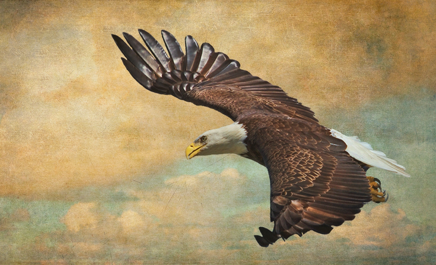 I call this one Vintage Eagle..similar technique using antique wall and sky overlays in layers.