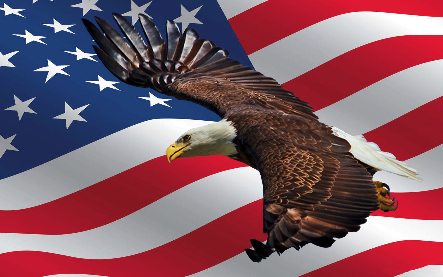 Bring back the true SPIRIT OF AMERICA before it is too late..