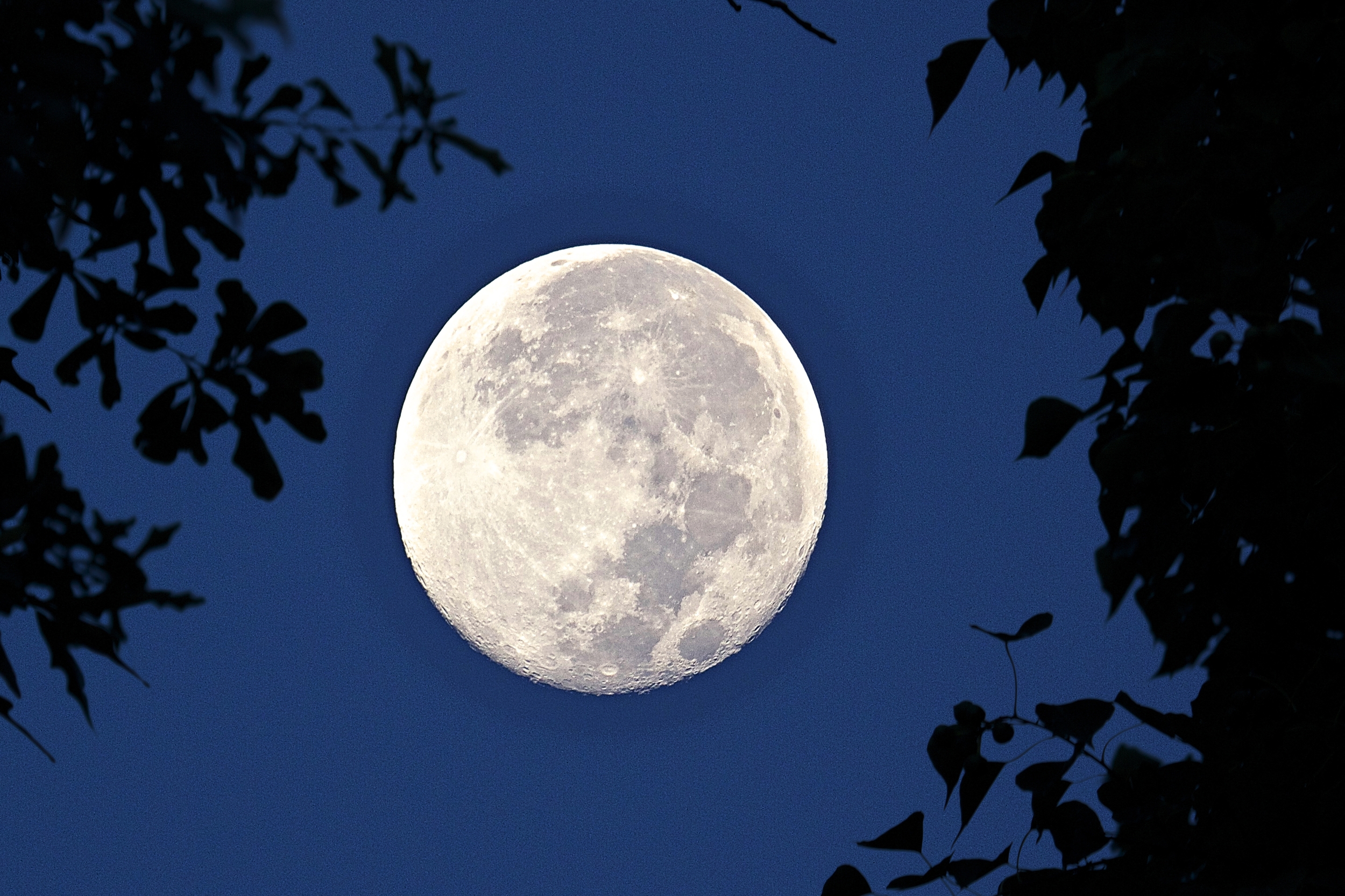 It was a full Harvest moon setting early one September morning over the Broward.. It