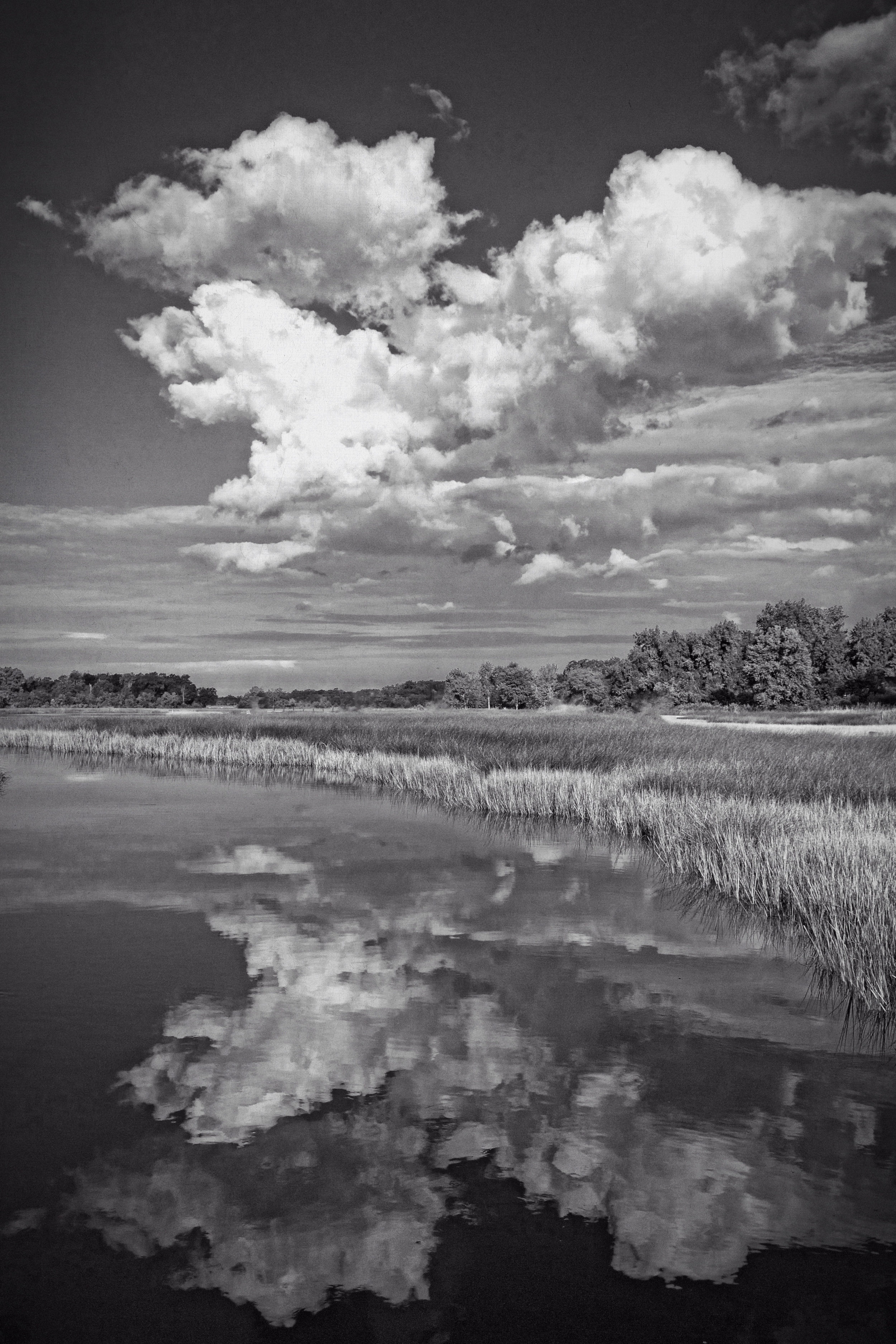 Broward River morning Ansel Adams style..