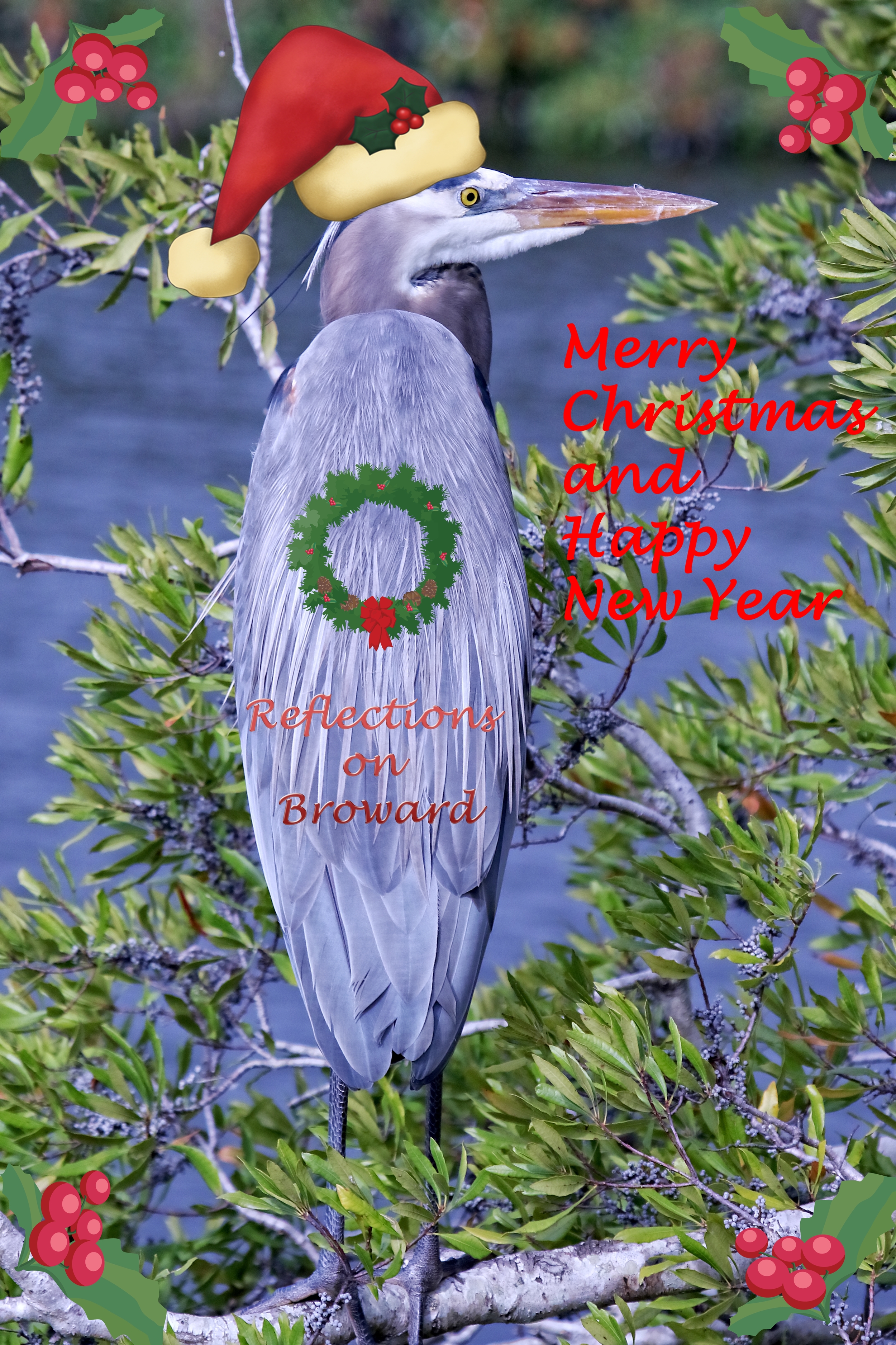 Santa Blue has arrived…The Editor and I wish you all a very Merry Christmas and Happy New Year..