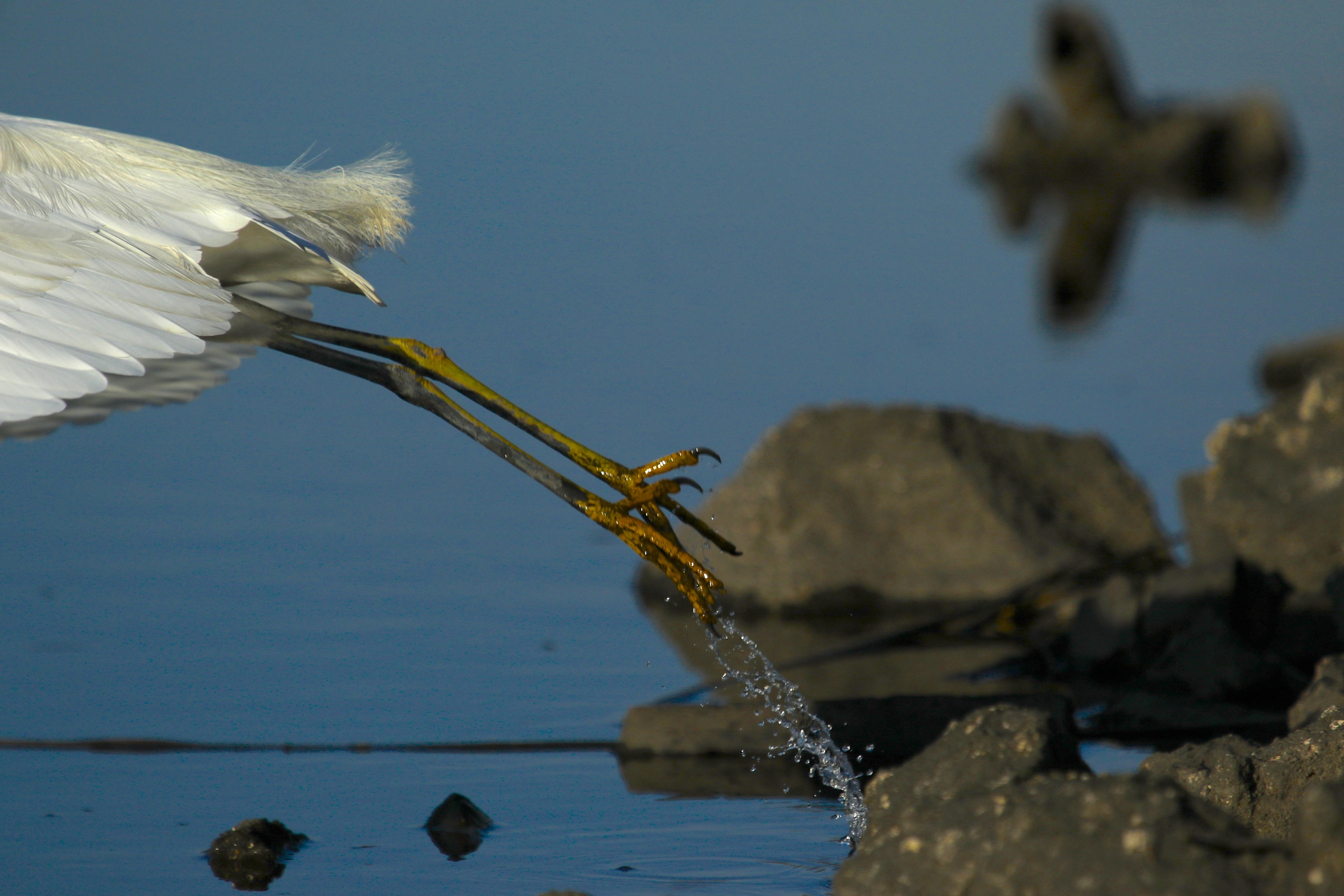 If the food is gone, I'm outta here!