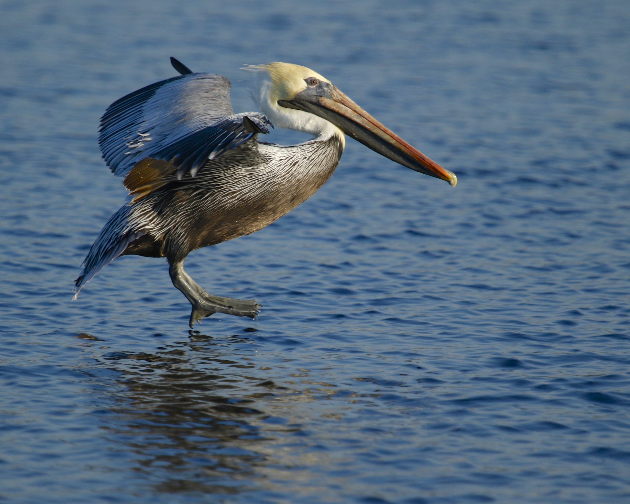 Flaps up, landing gear down..