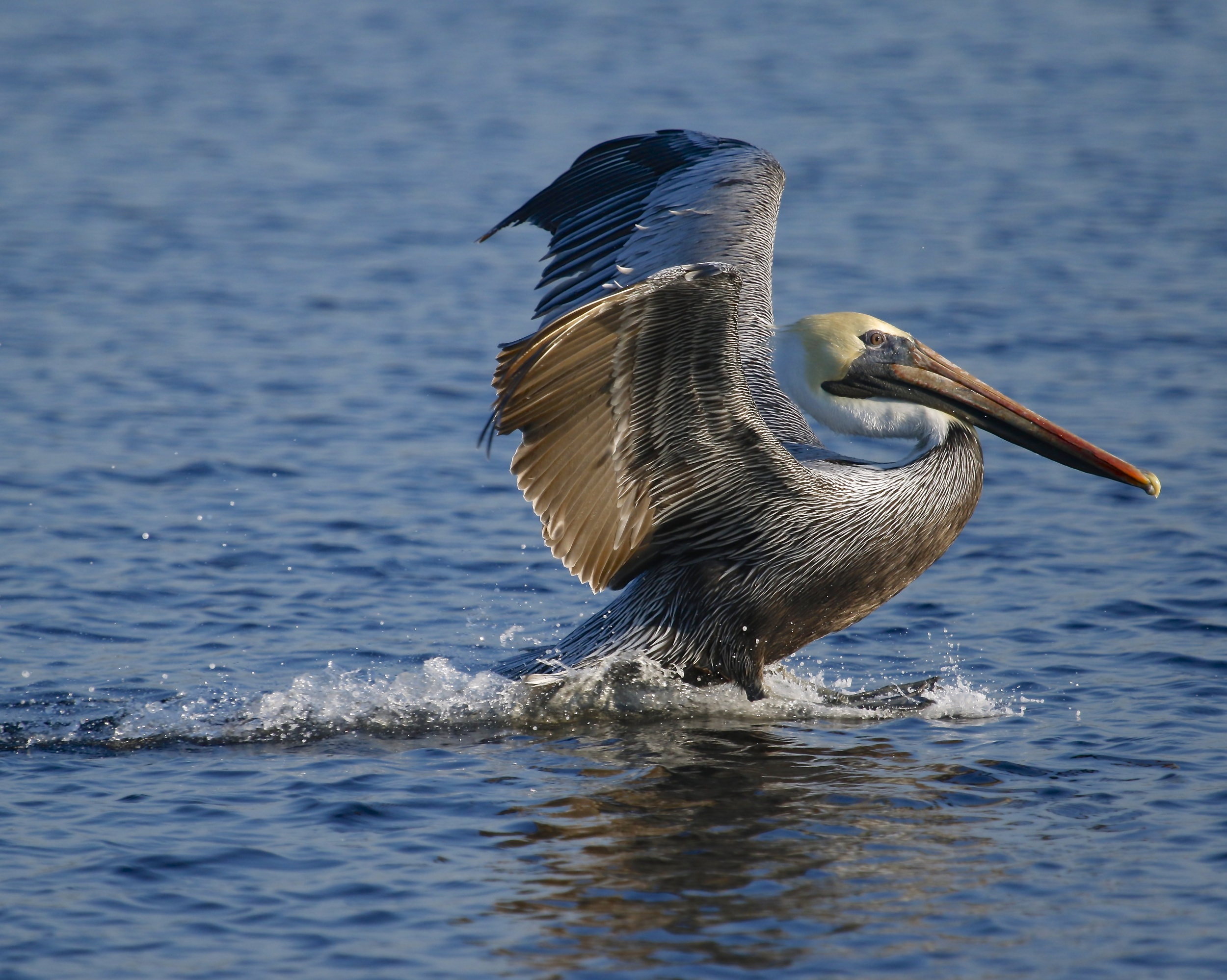 A perfect three wire landing...
