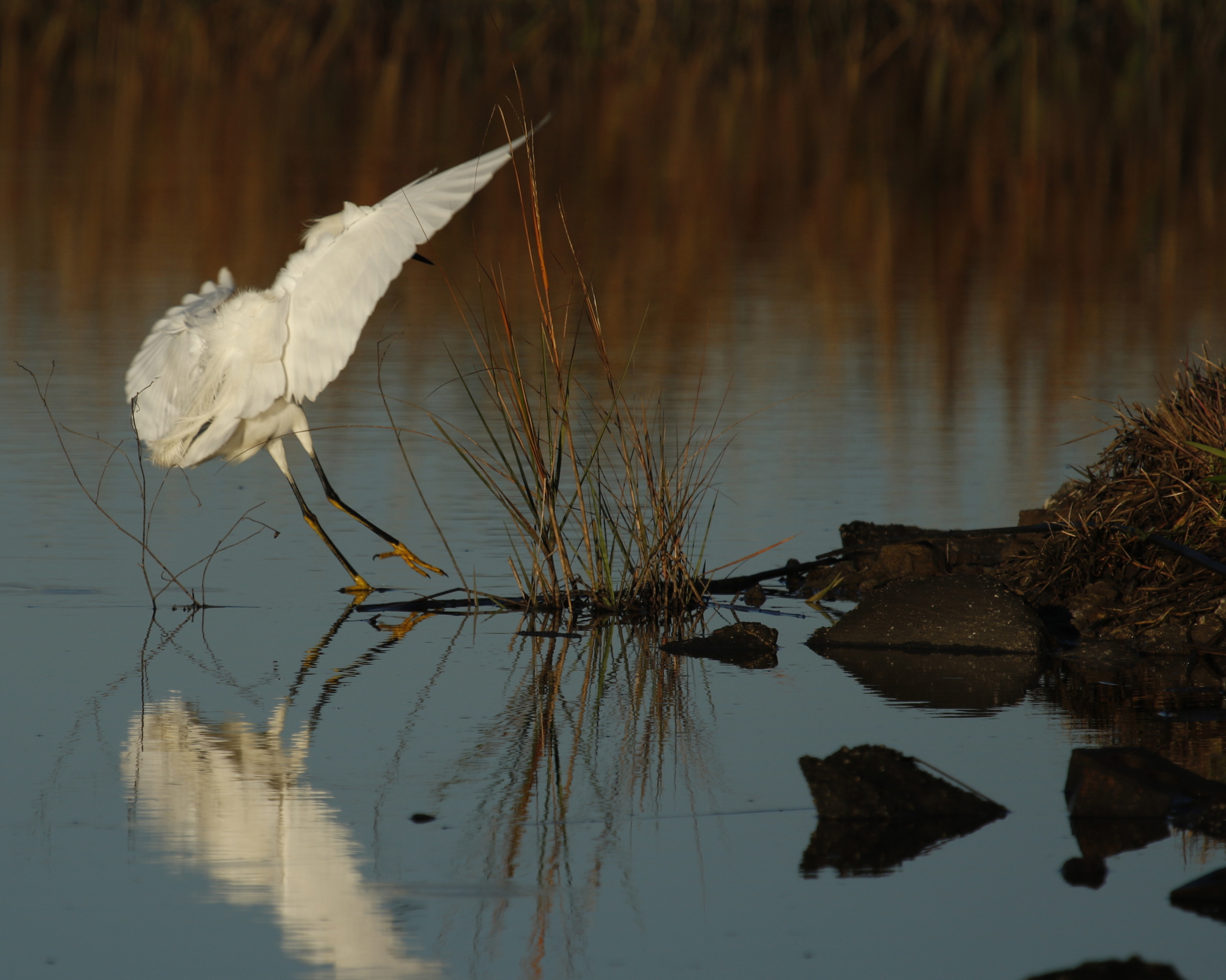 Touchdown in the golden morning light!
