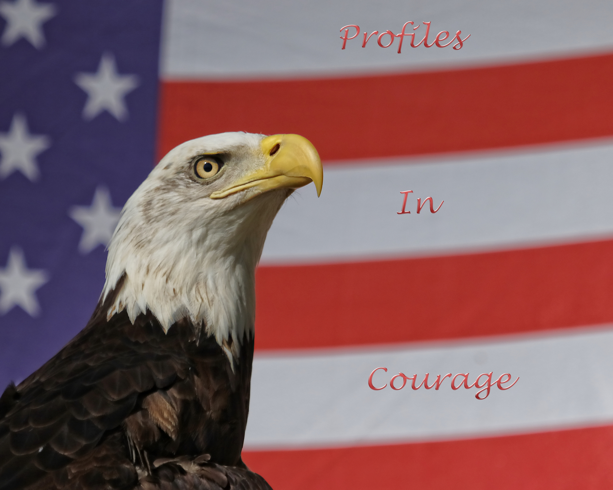 Profiles of some of the stars of the Avian Reconditioning Center for Birds of Prey, Apopka, Fl