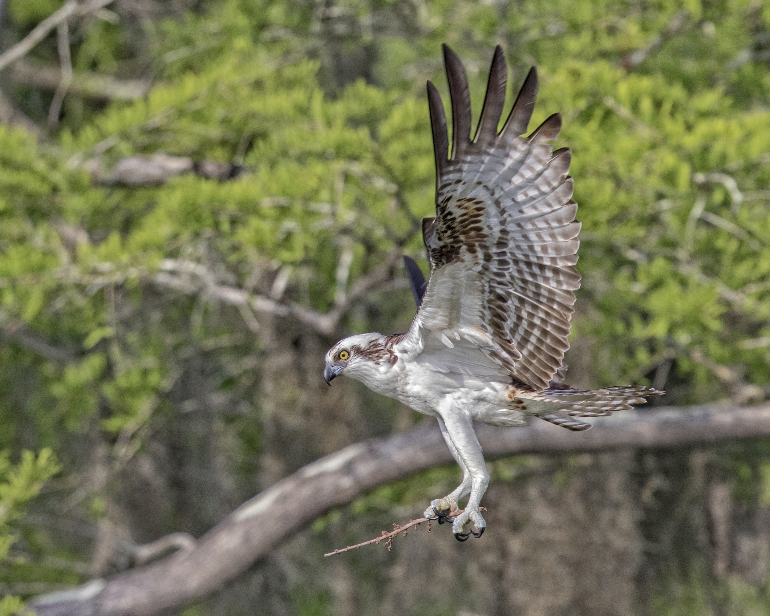 A strong nest is built one stick at a time..some larger than others..some smaller..