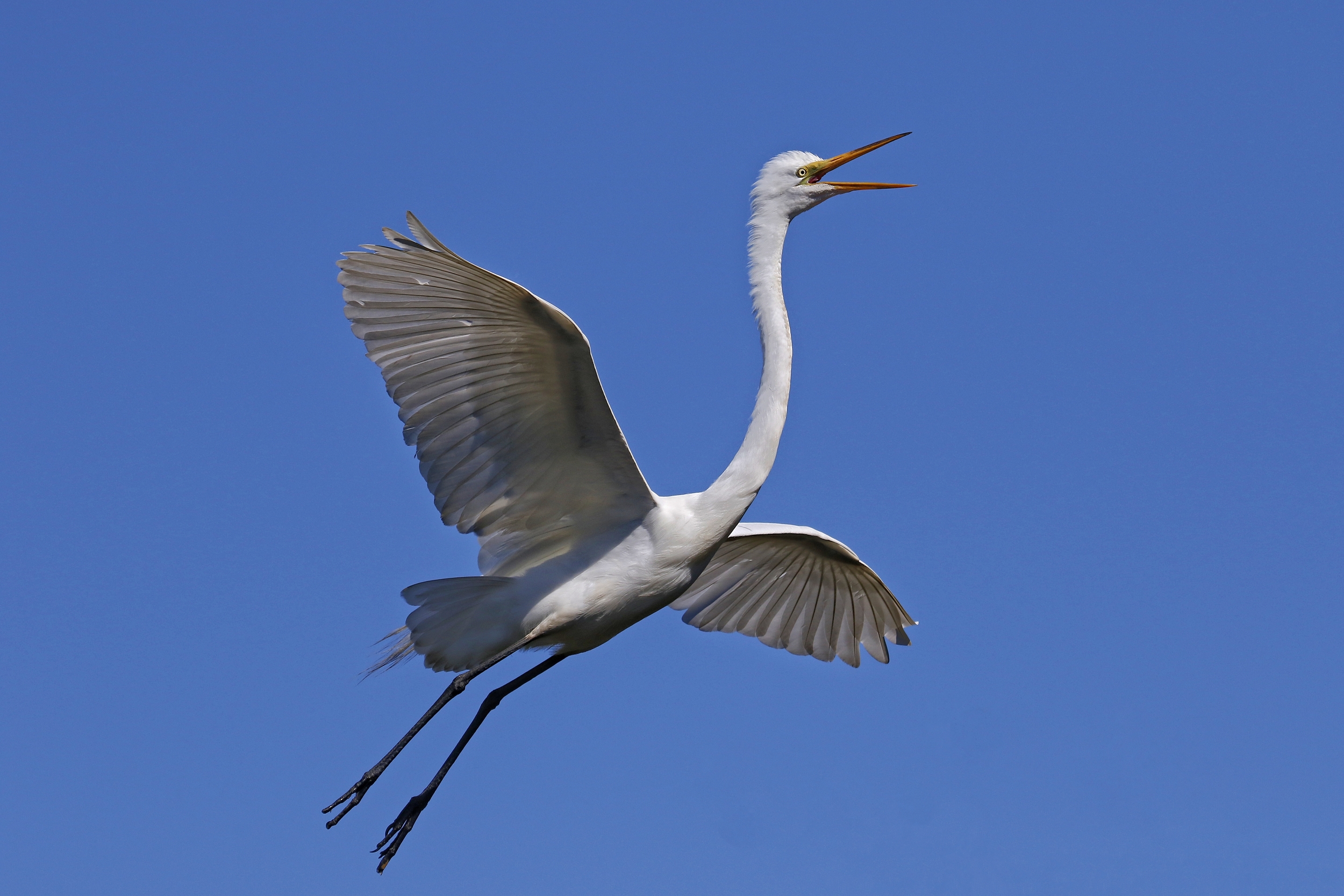 This is me the day I left the nest….off to see the world..Anchors away!