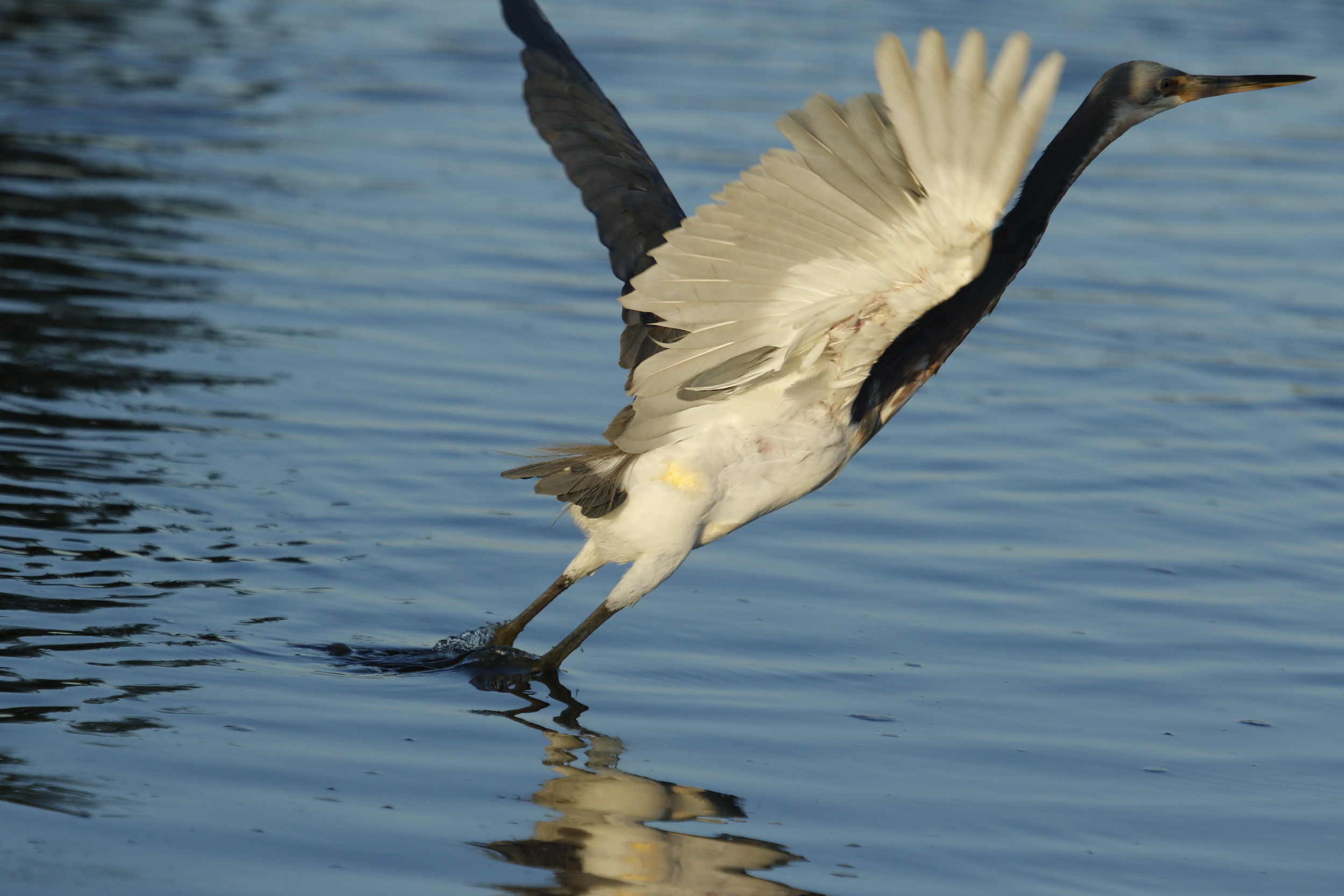 No need to "fly off the handle" either..