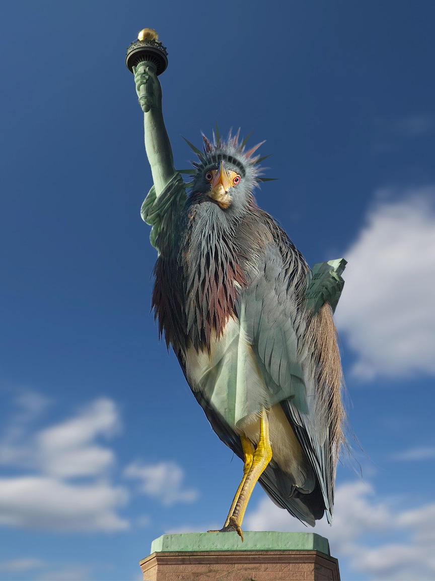 This year's "Statue of Libirdy" award goes to the five bird brains of the SCOTUS ....