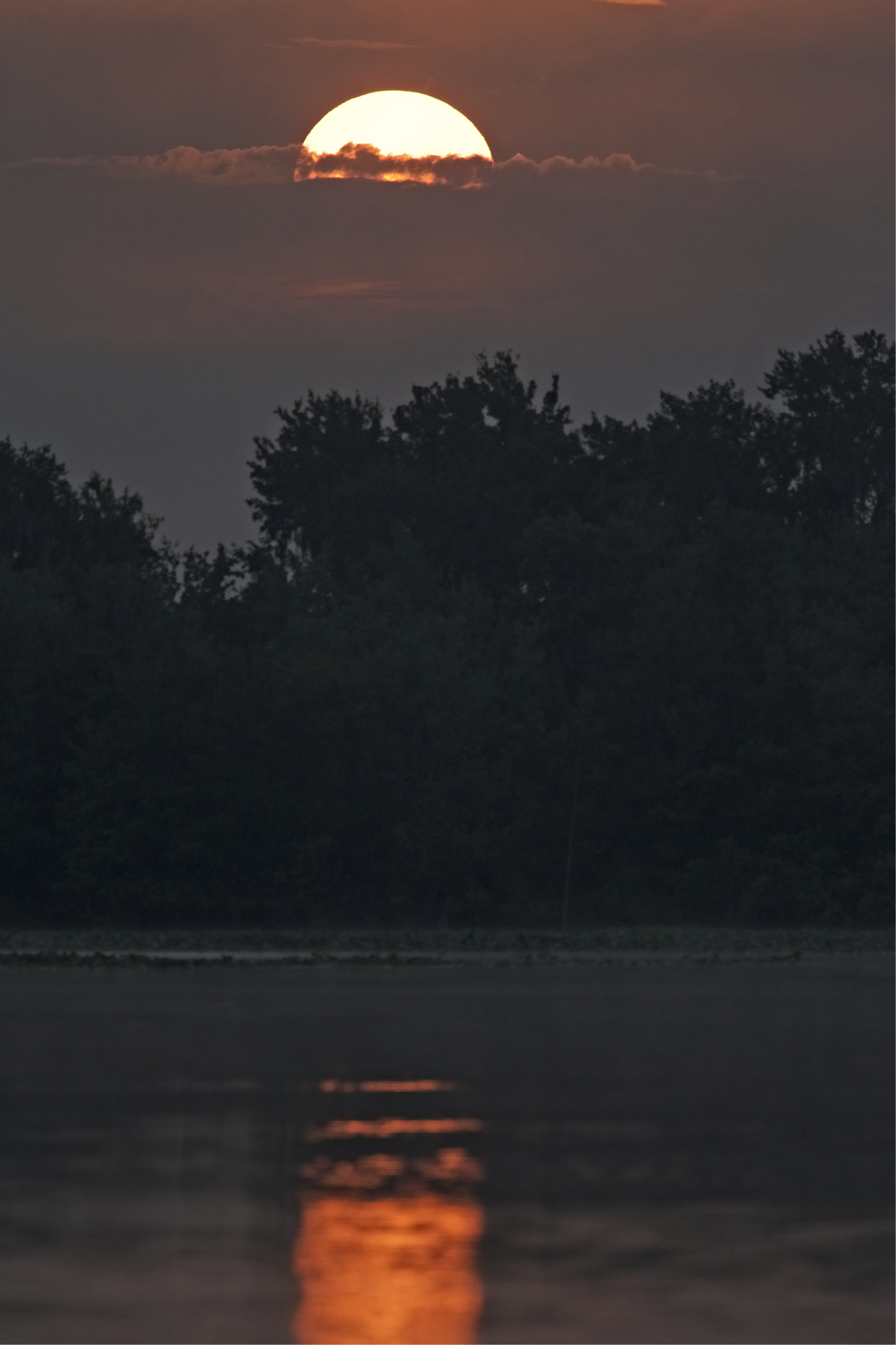 The morning sun rises over a restless sky...somewhere in central florida the birds awake....full of Zugunruhe . .