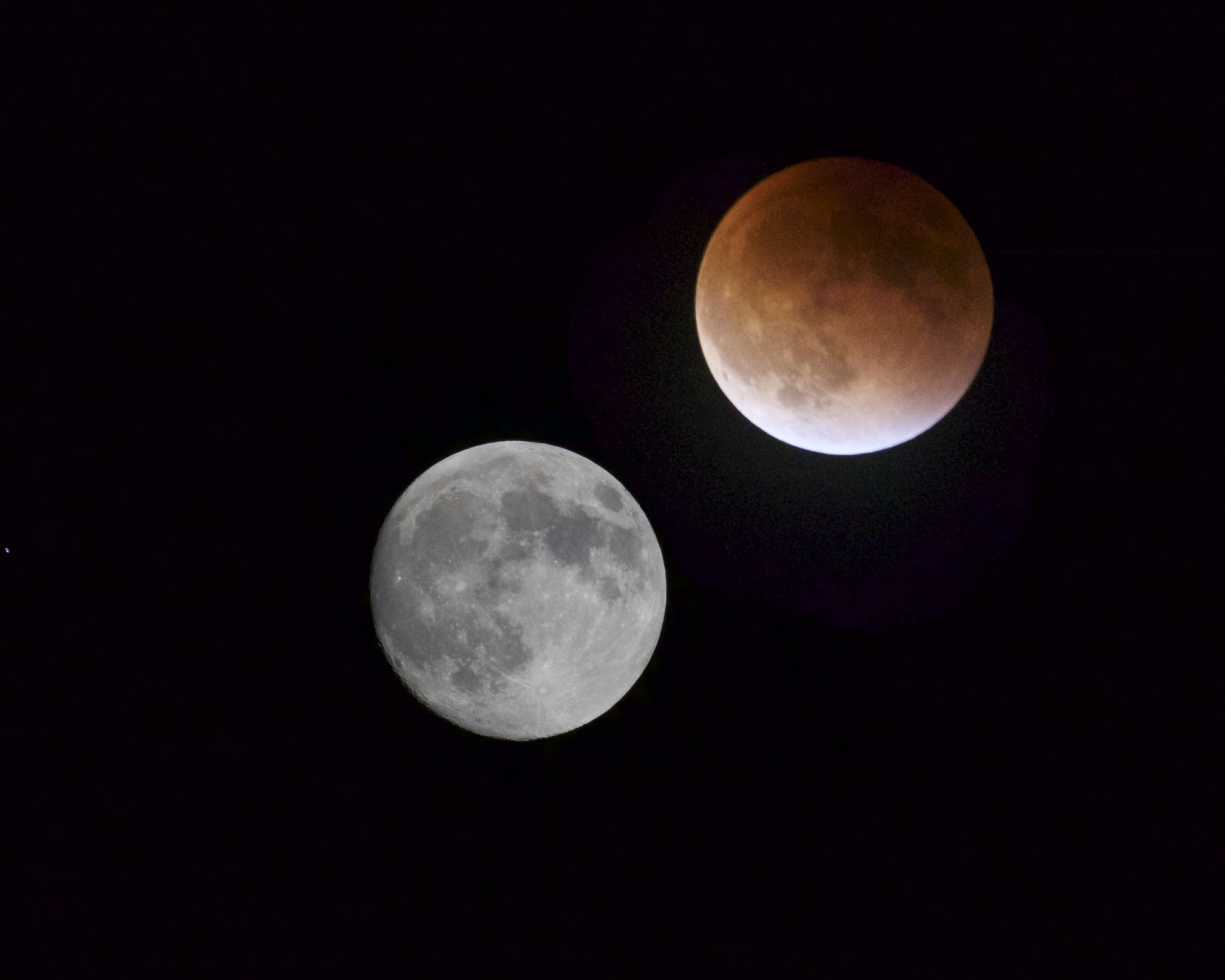 A Blood Moon rises over the Broward..what will this sign mean I wonder? 