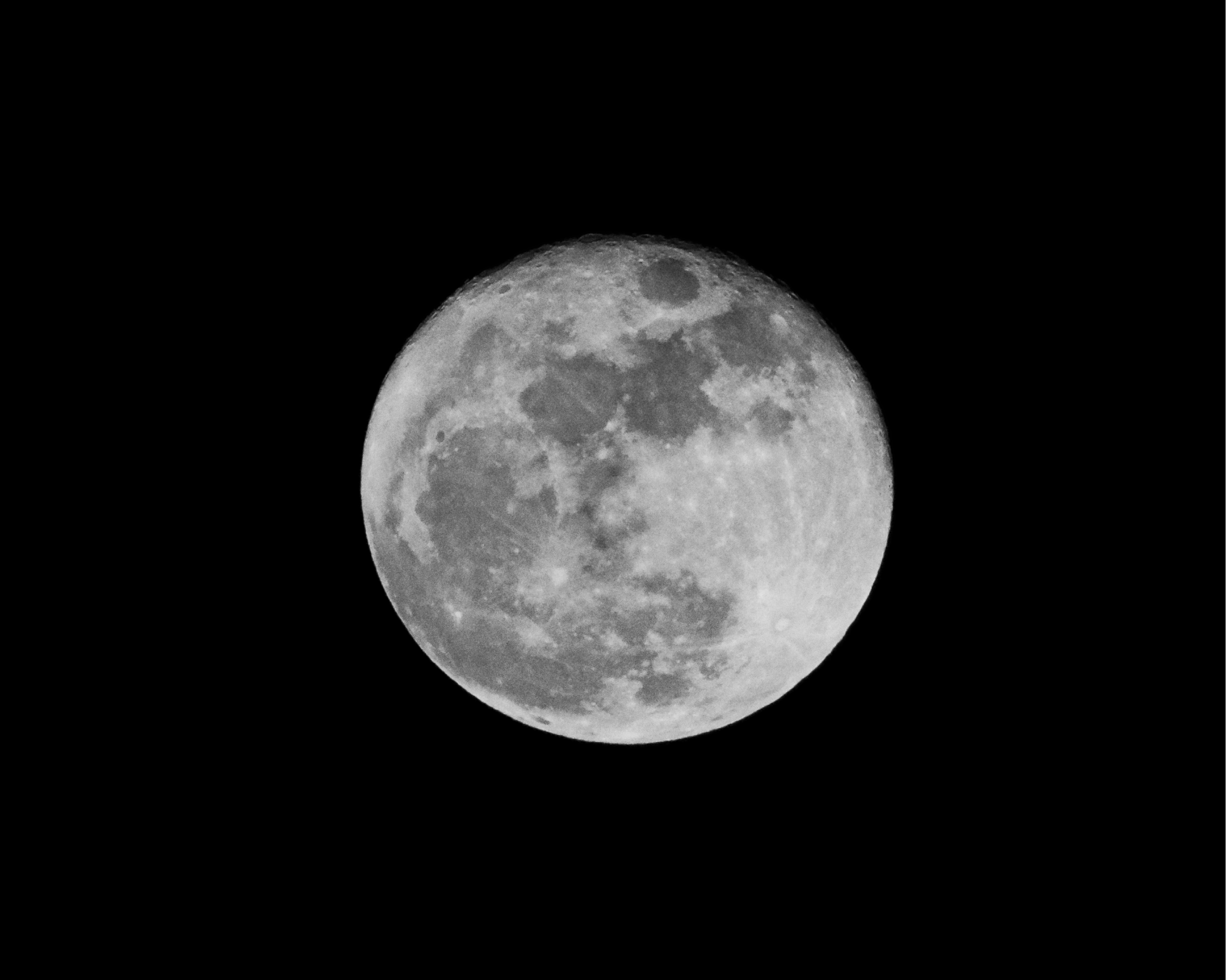 A full Thanksgiving moon was indicative of all the full tummies that day!