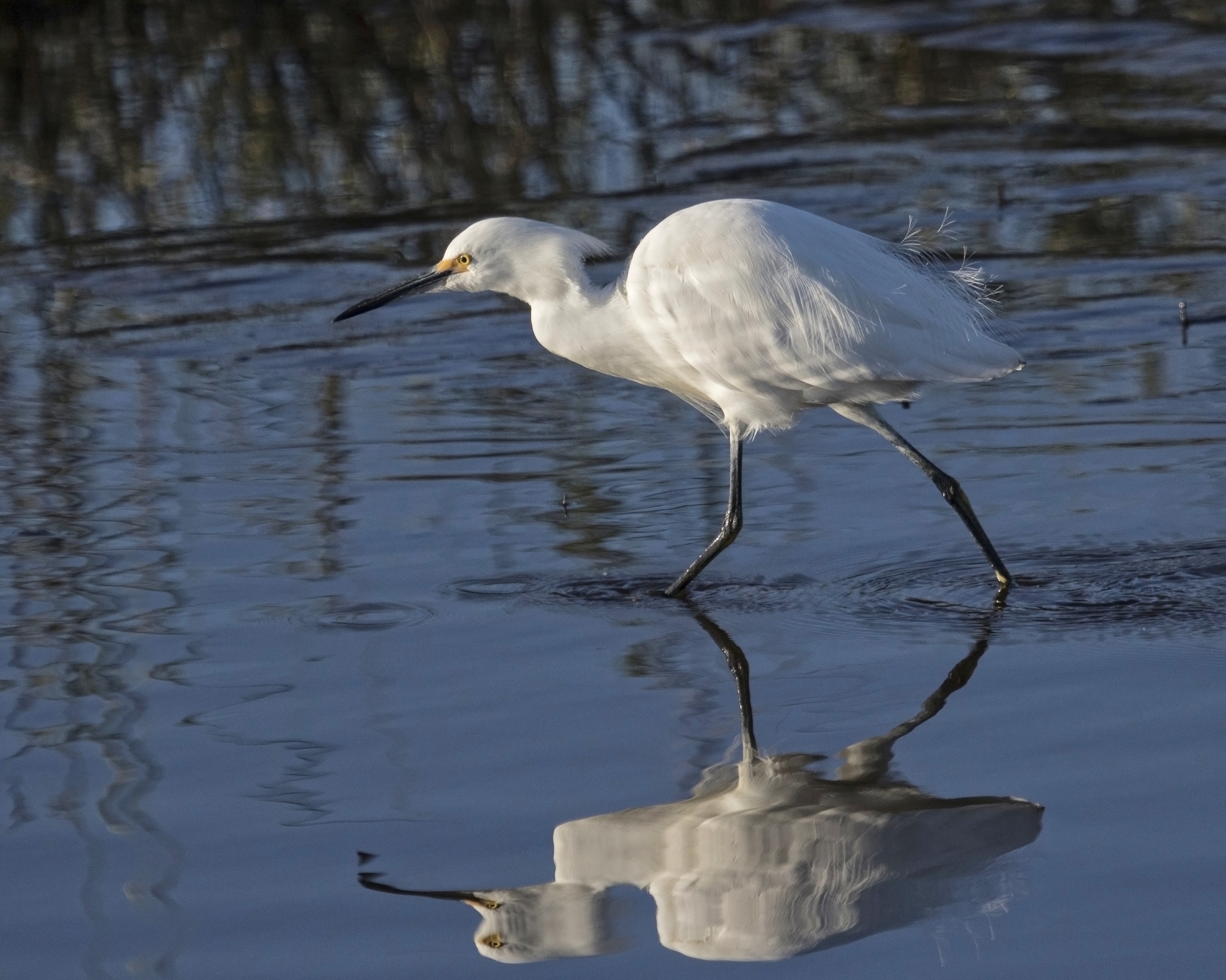 Hey Bob, what ya know? Any minnows over here?