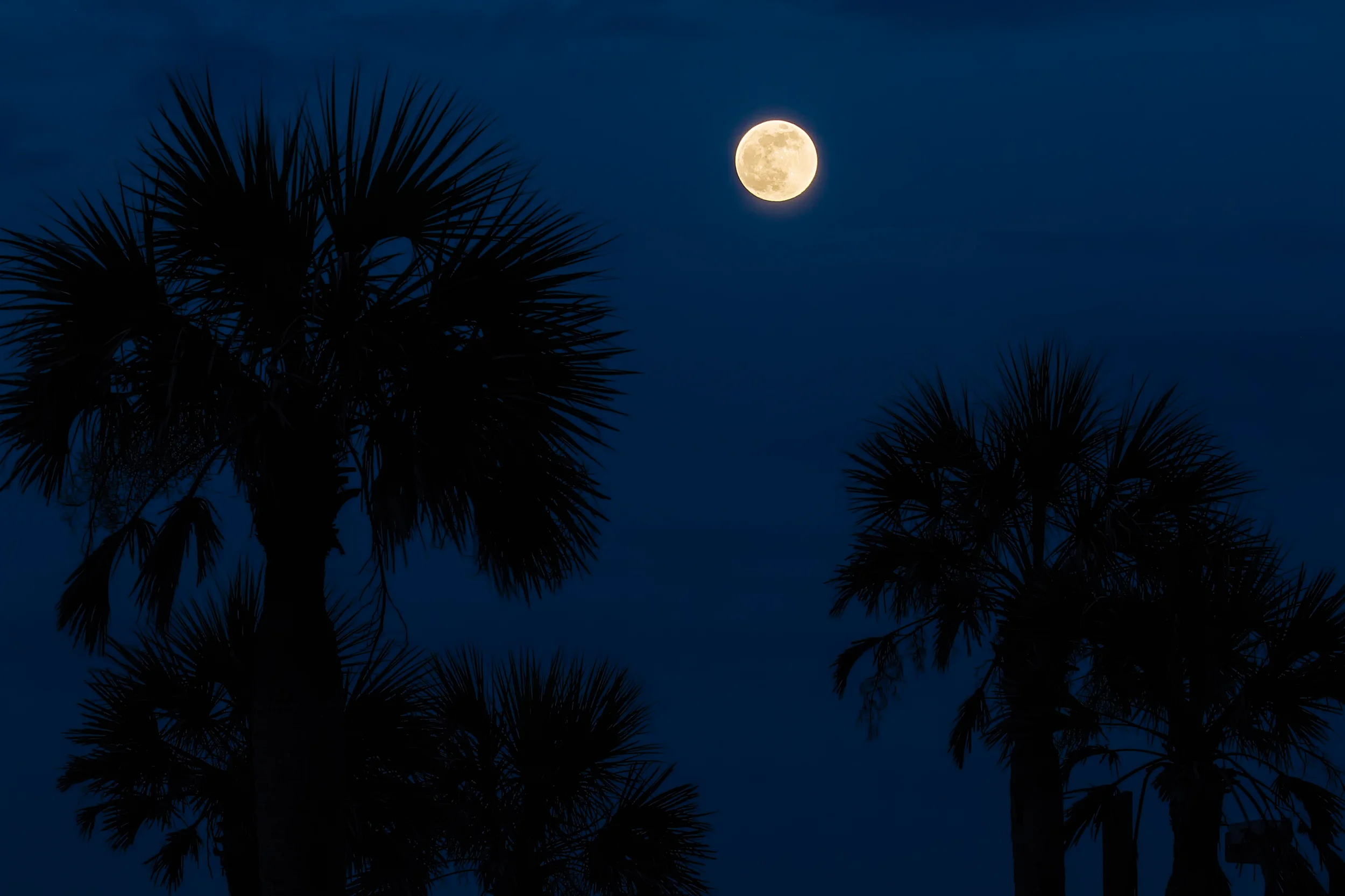 "Full Moon Rising" by my friend and professional photographer Dawna Moore with permission...one of her many specialties is teaching Blue Hour Photography