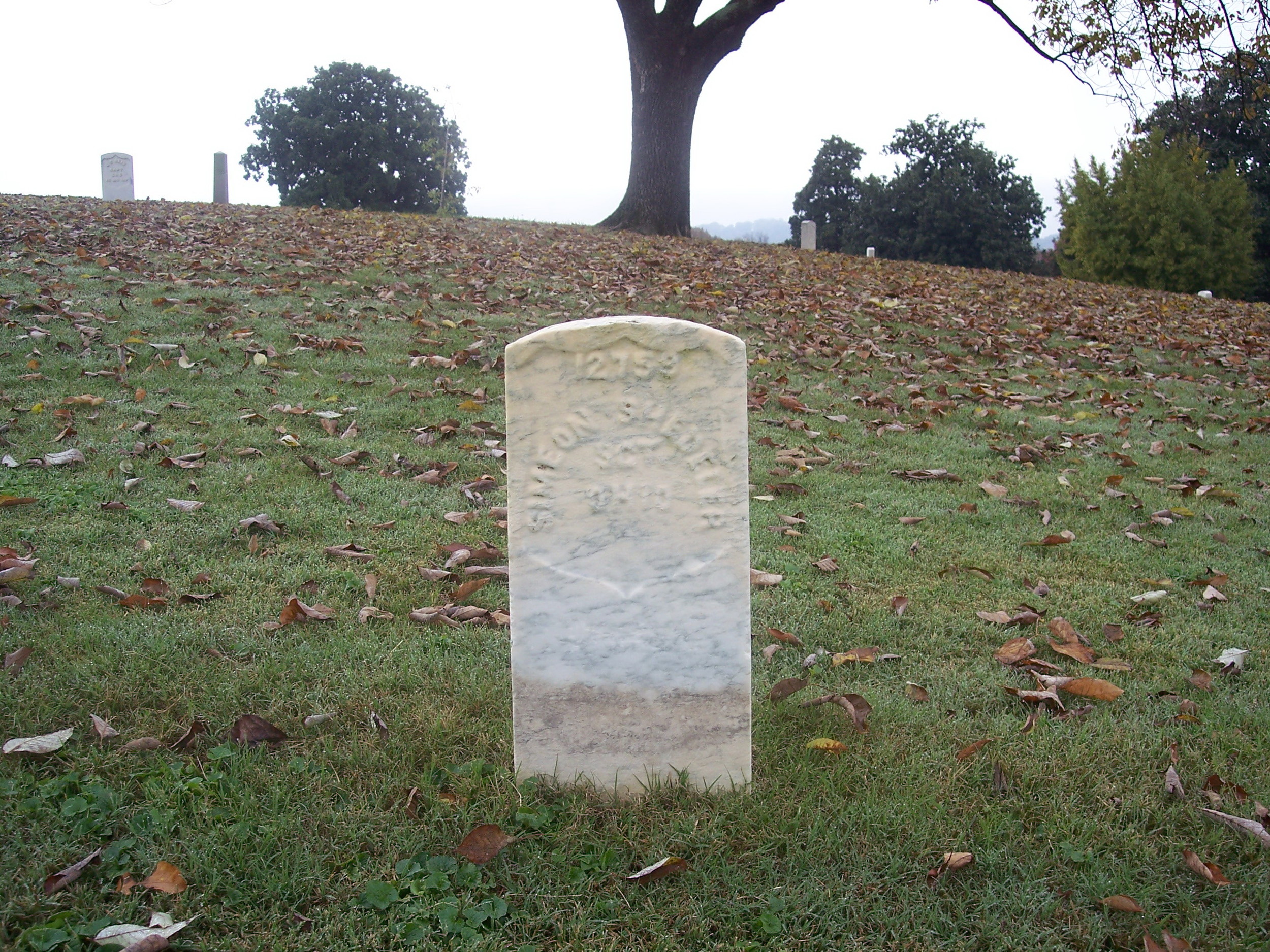 A young widow named Hannah Davis Shidler was not as fortunate as the Bluebird family..her husband and soldier Simeon lies here in Chattanooga. Thank you Brian Selsor for taking this photo of our Great Grandpa. 