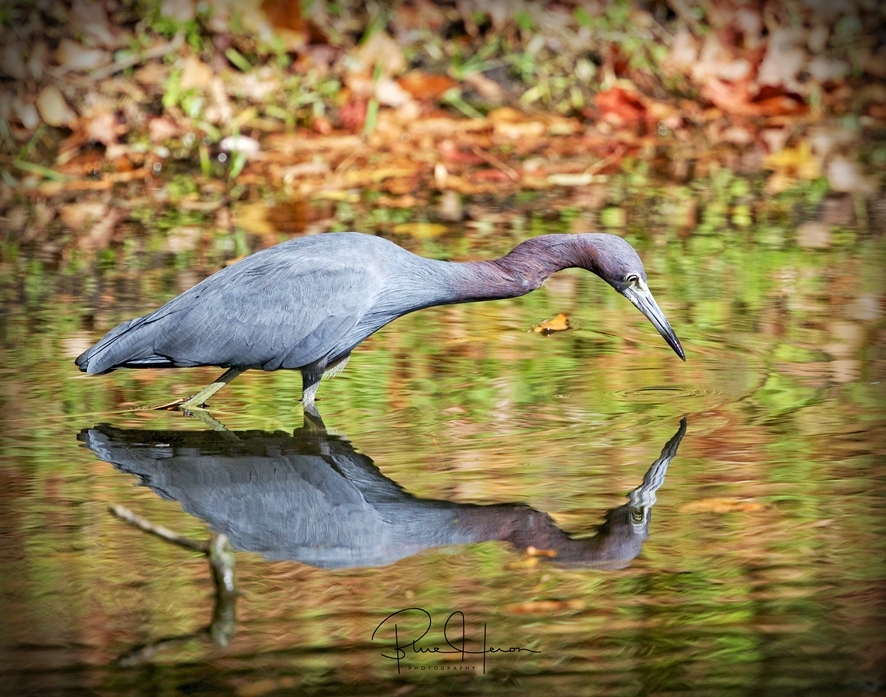 Broward Bob sees his refection and predicts a Very Happy and Blessed New Year..From Reflections on Broward..