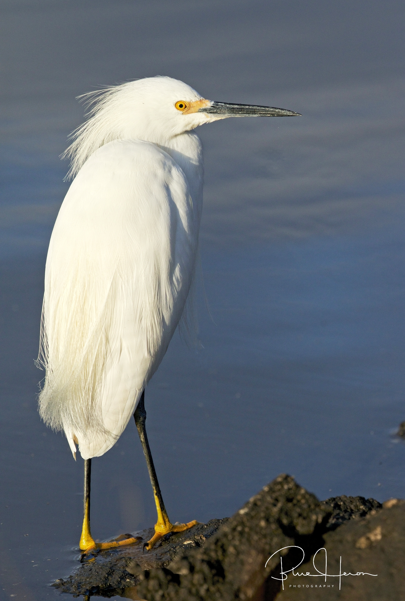 Make sure you get my best side there Mr Doohikey