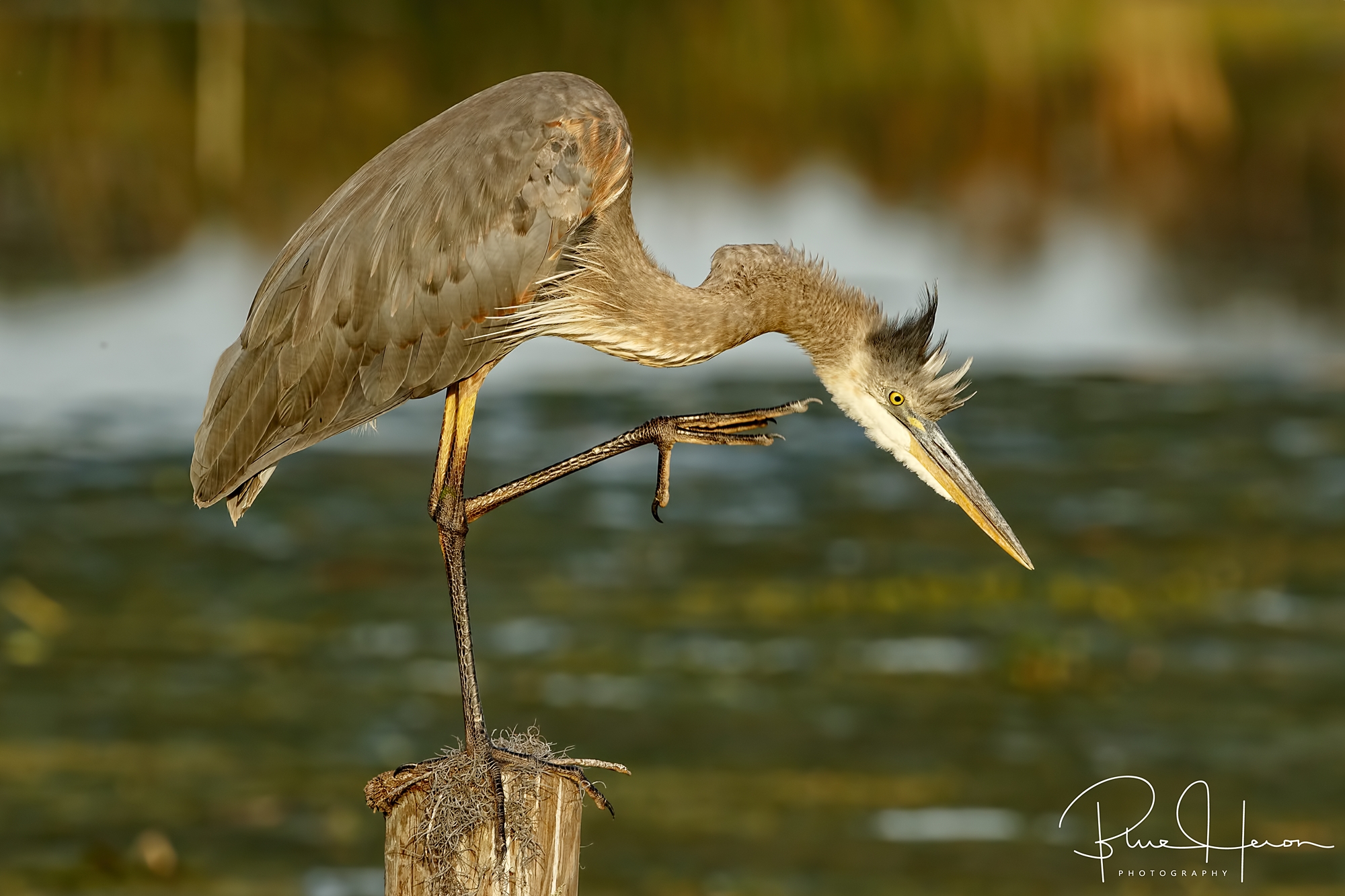 Can't figure out why that stick would not let loose!