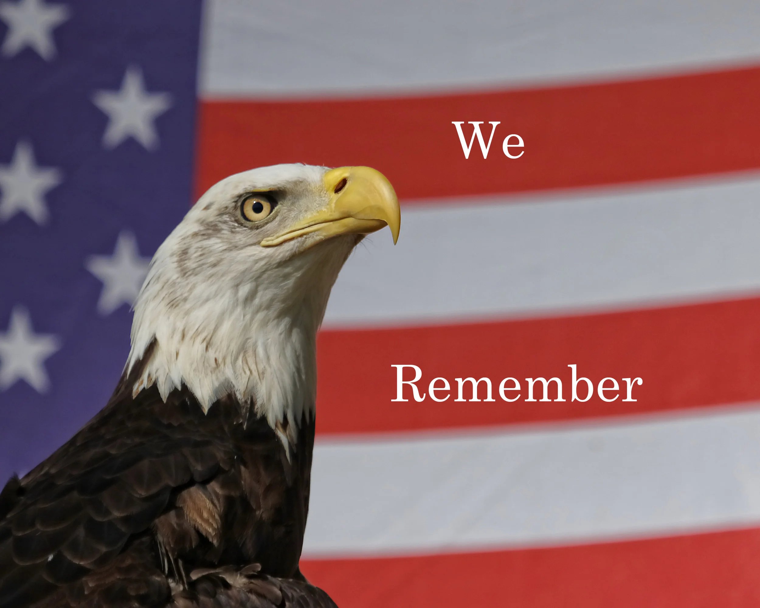 We remember those who gave their all for us...