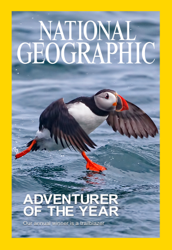 My National Geographic worthy Cover Photo of a Puffin walking on water...(actually this cover shot photo can by made with any photo via Nat Geo's "Create your own cover" but maybe someday I will make the real thing). 