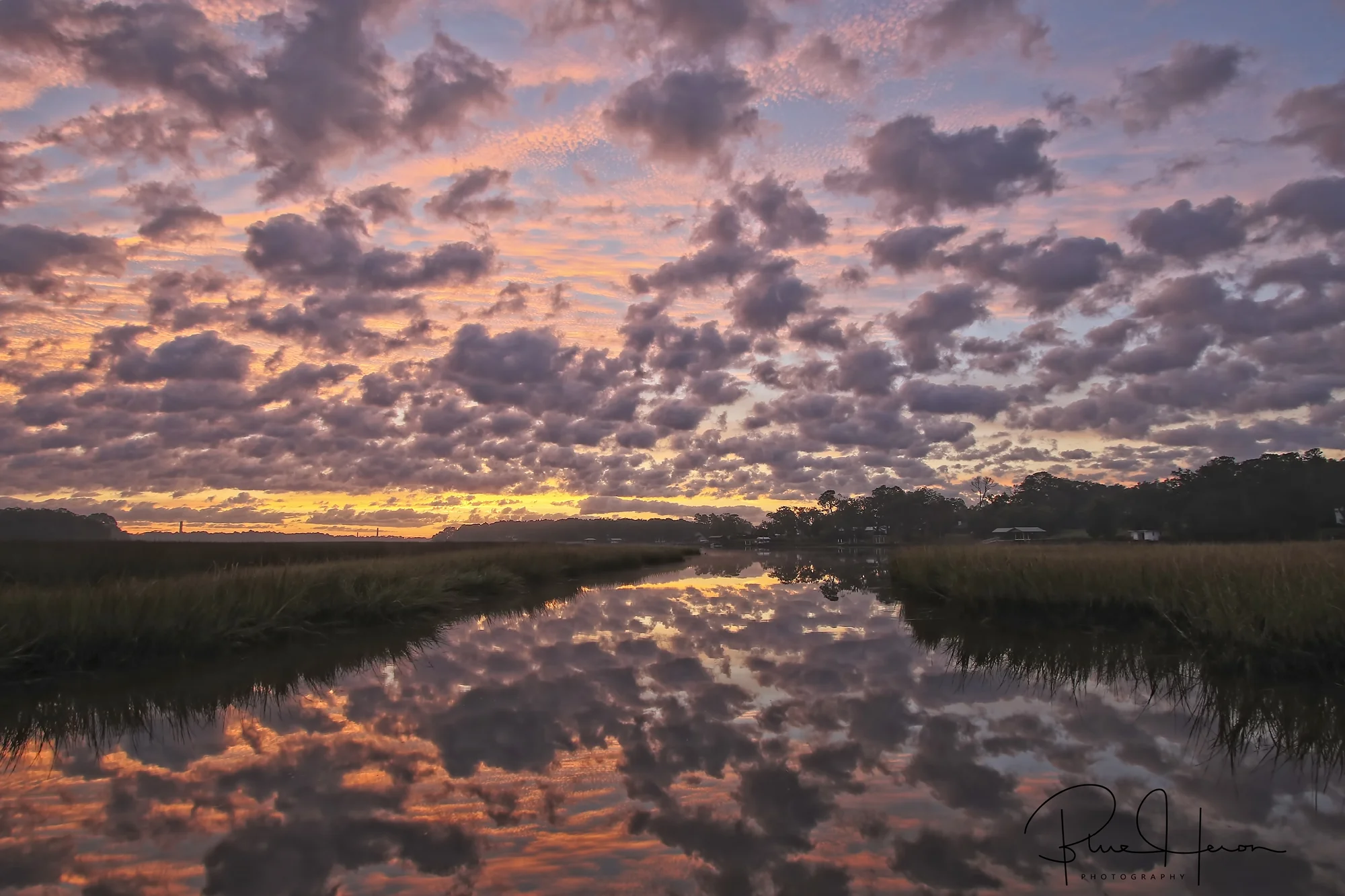 Pink predawn sky on the Broward