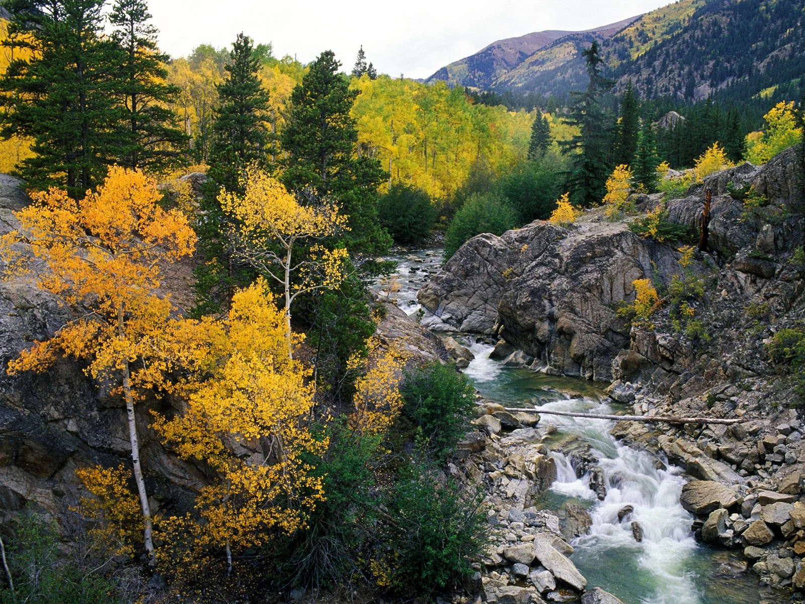 76_Rivers_HQ_Wallpapers_1600x1200__-19.jpg