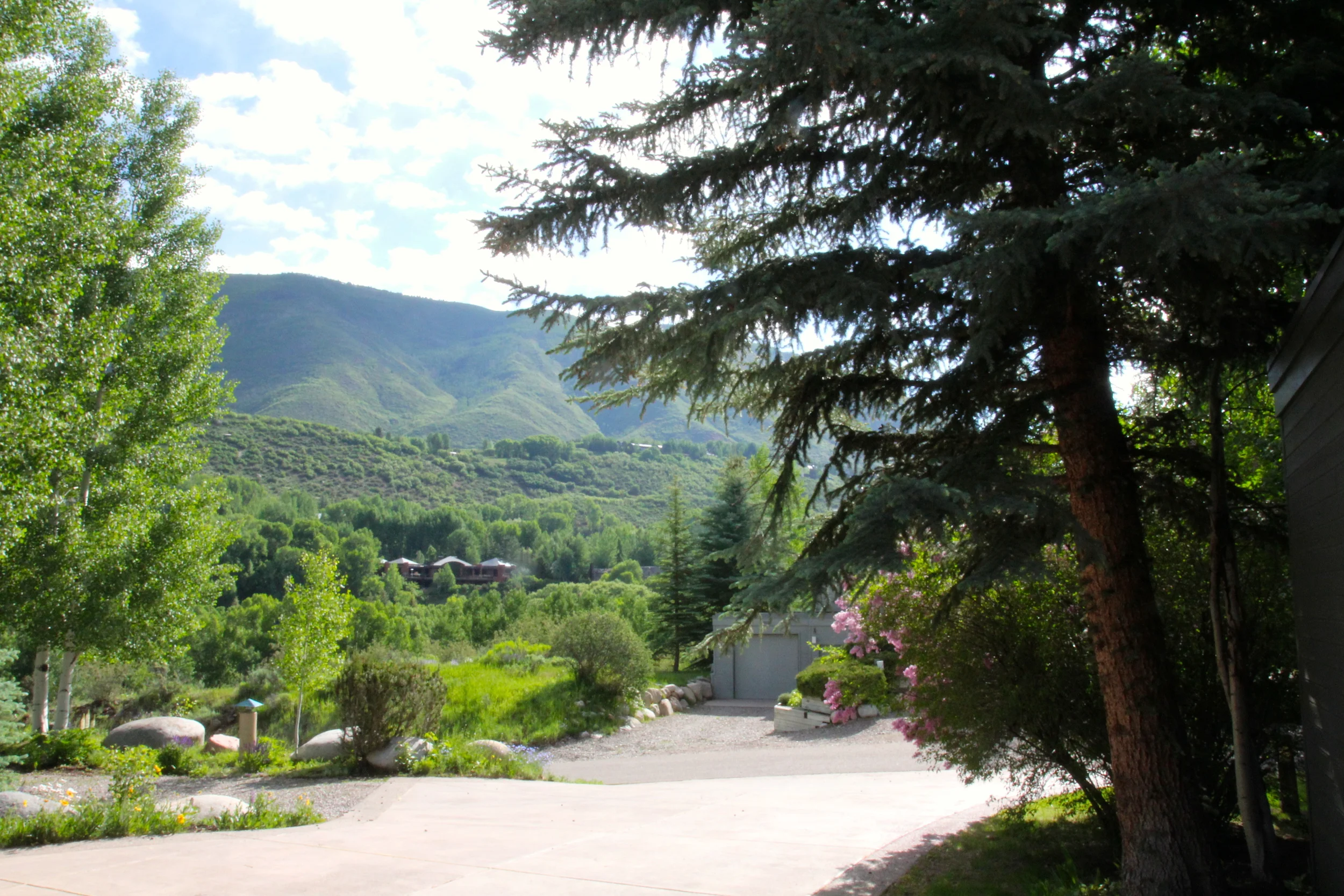 View of Red Mountain from the front driveway