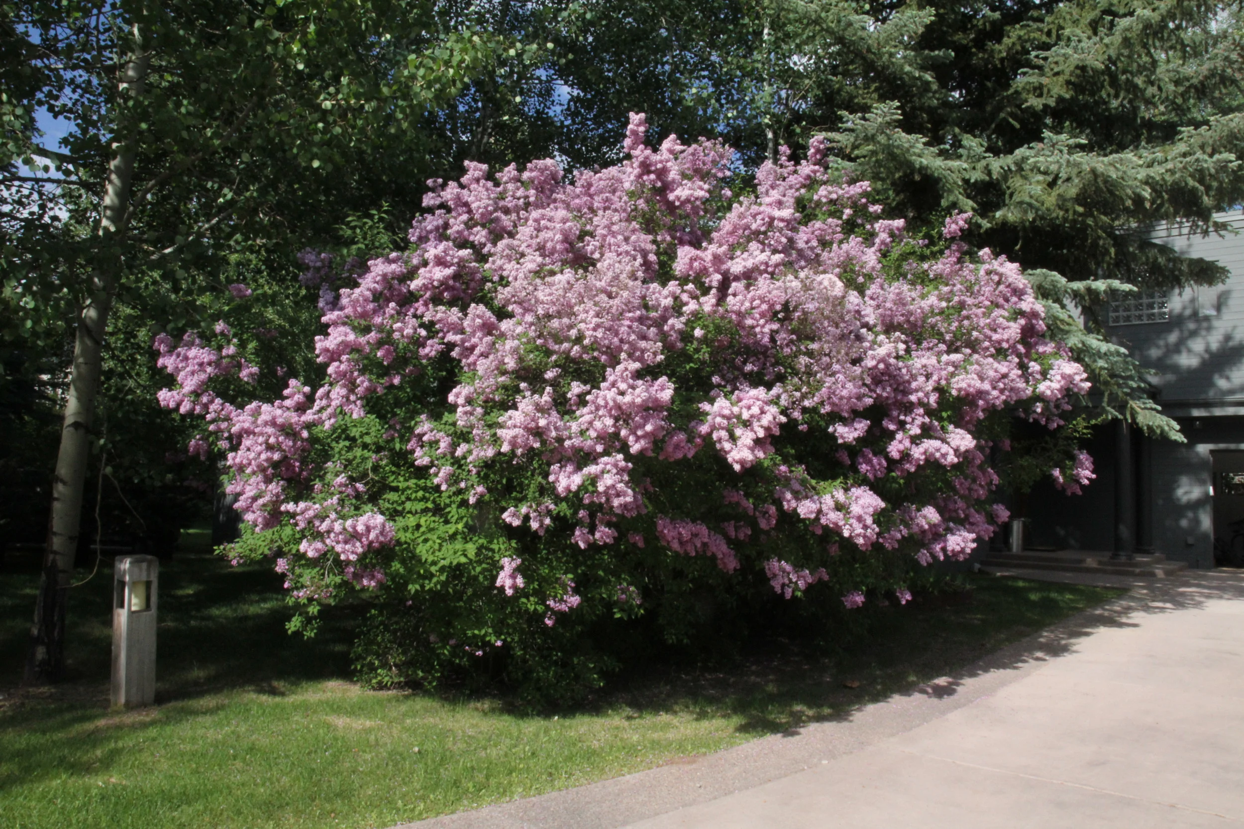 Front of 55 Overlook