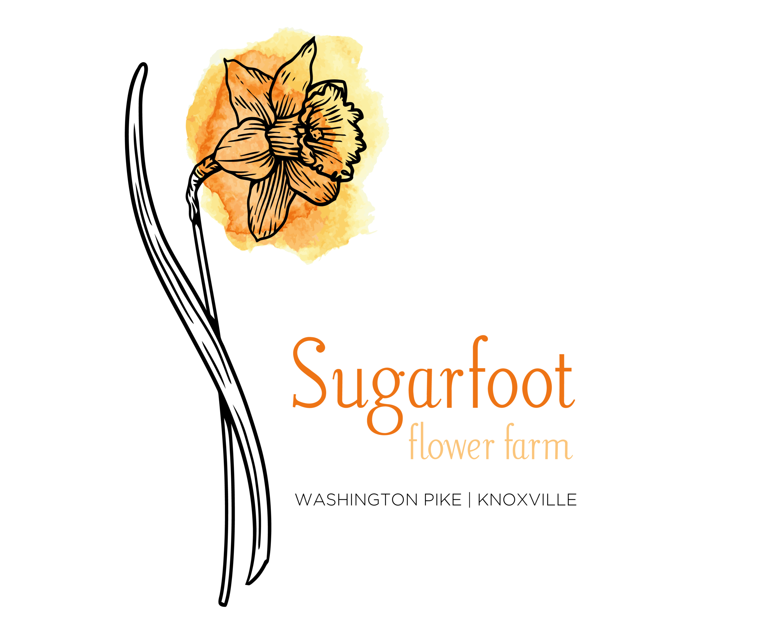 SugarFoot logo_Color_LR.png