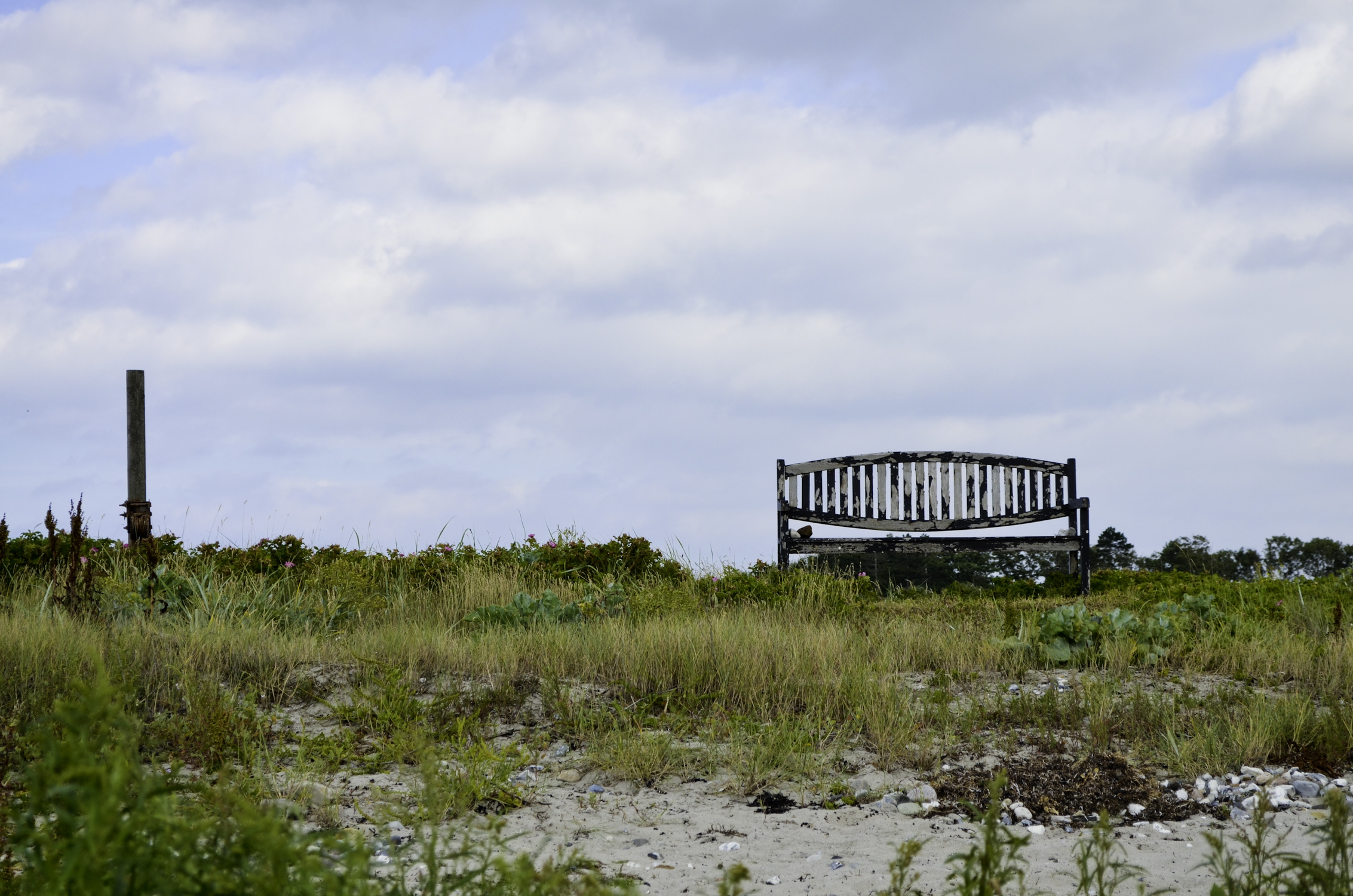 DSC_0455.jpg