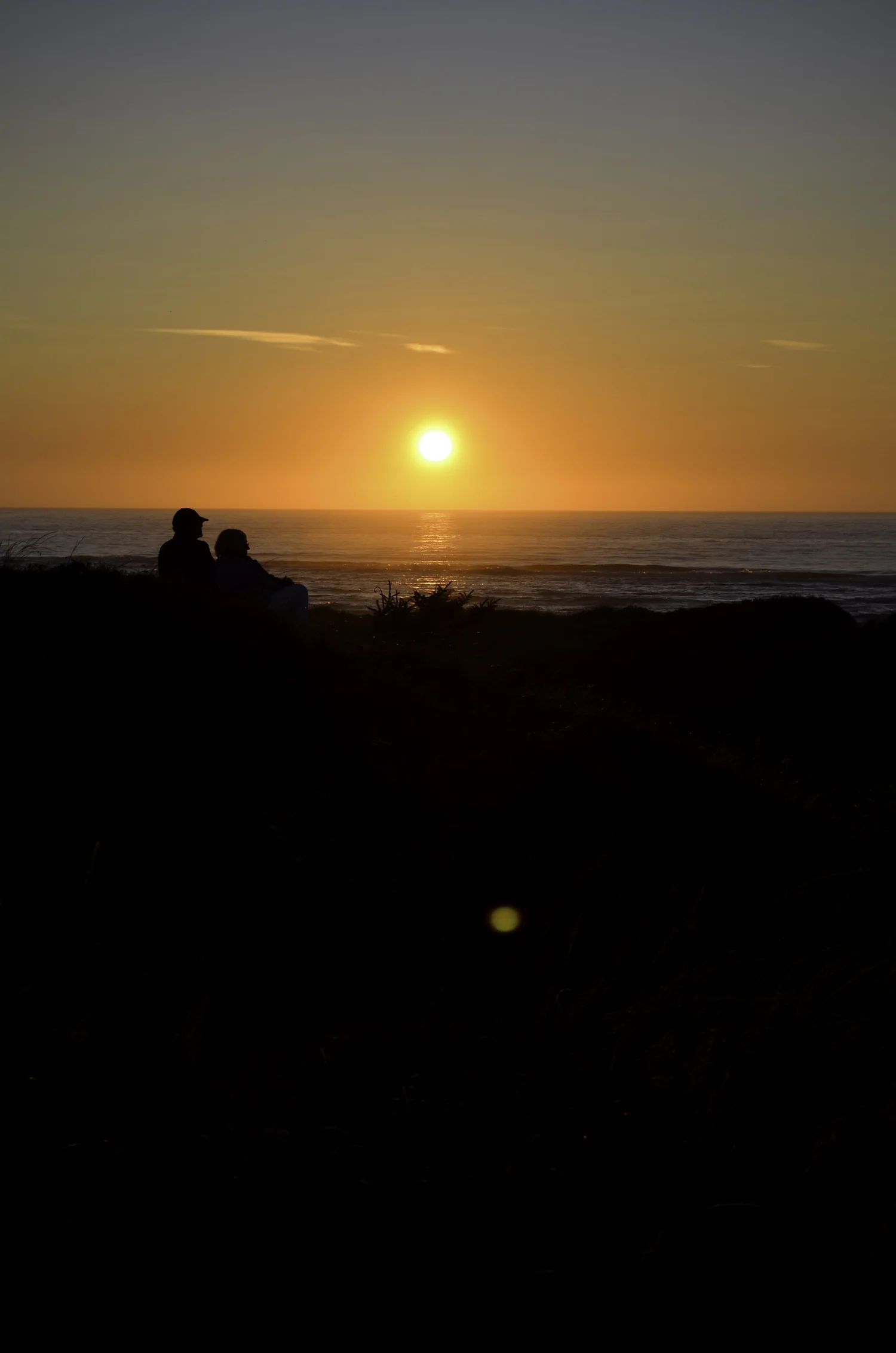 DSC_0590.jpg