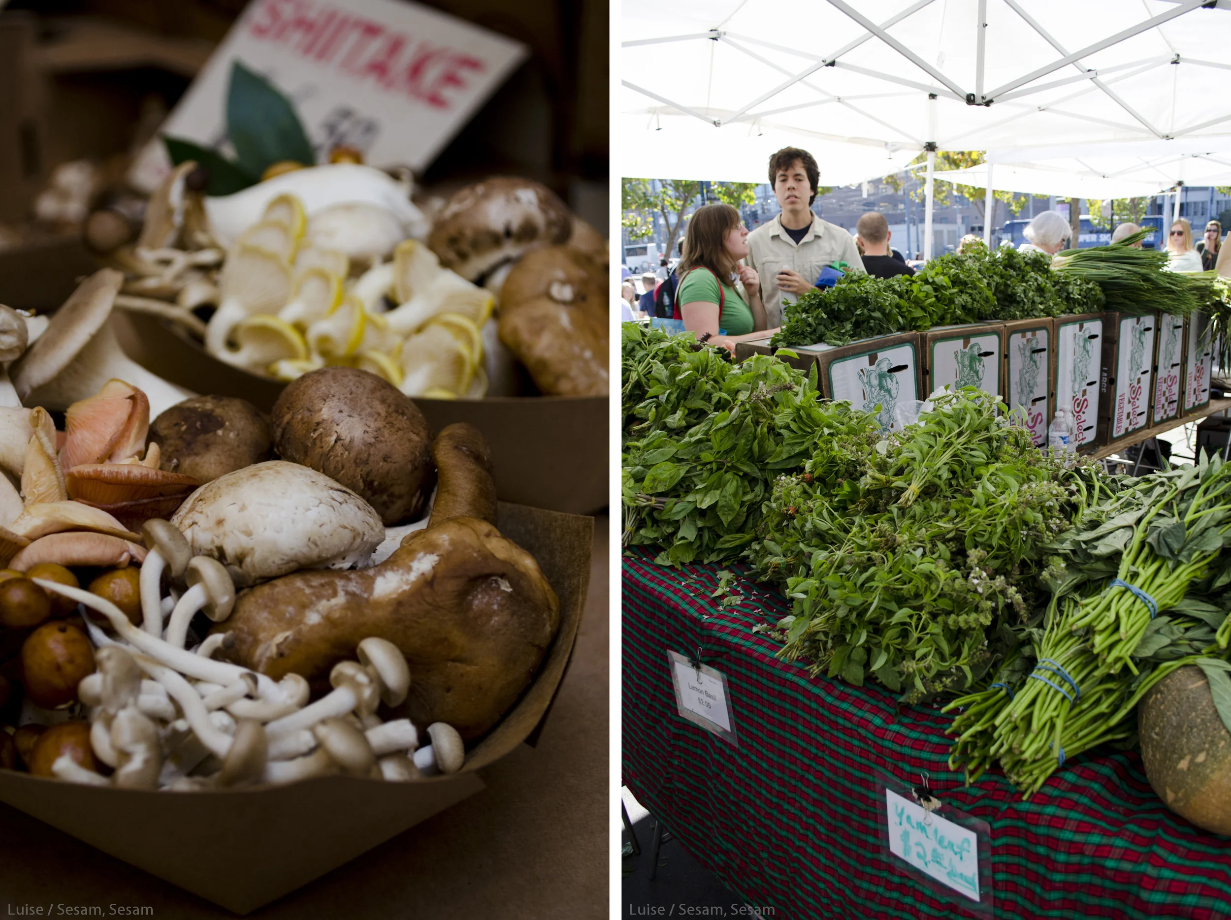 Farmers Market i San Francisco