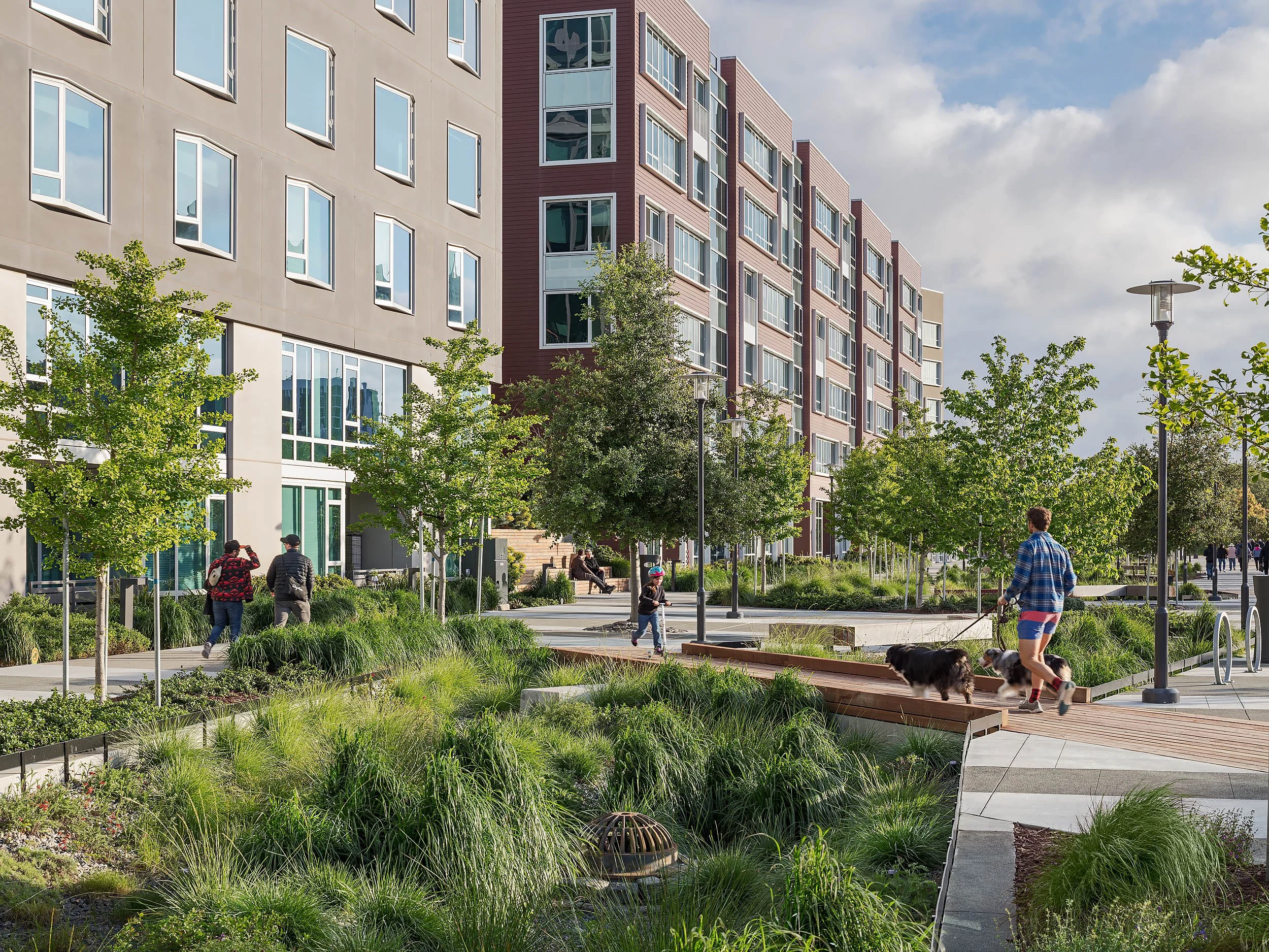 Mission Creek Stormwater Park San Francisco