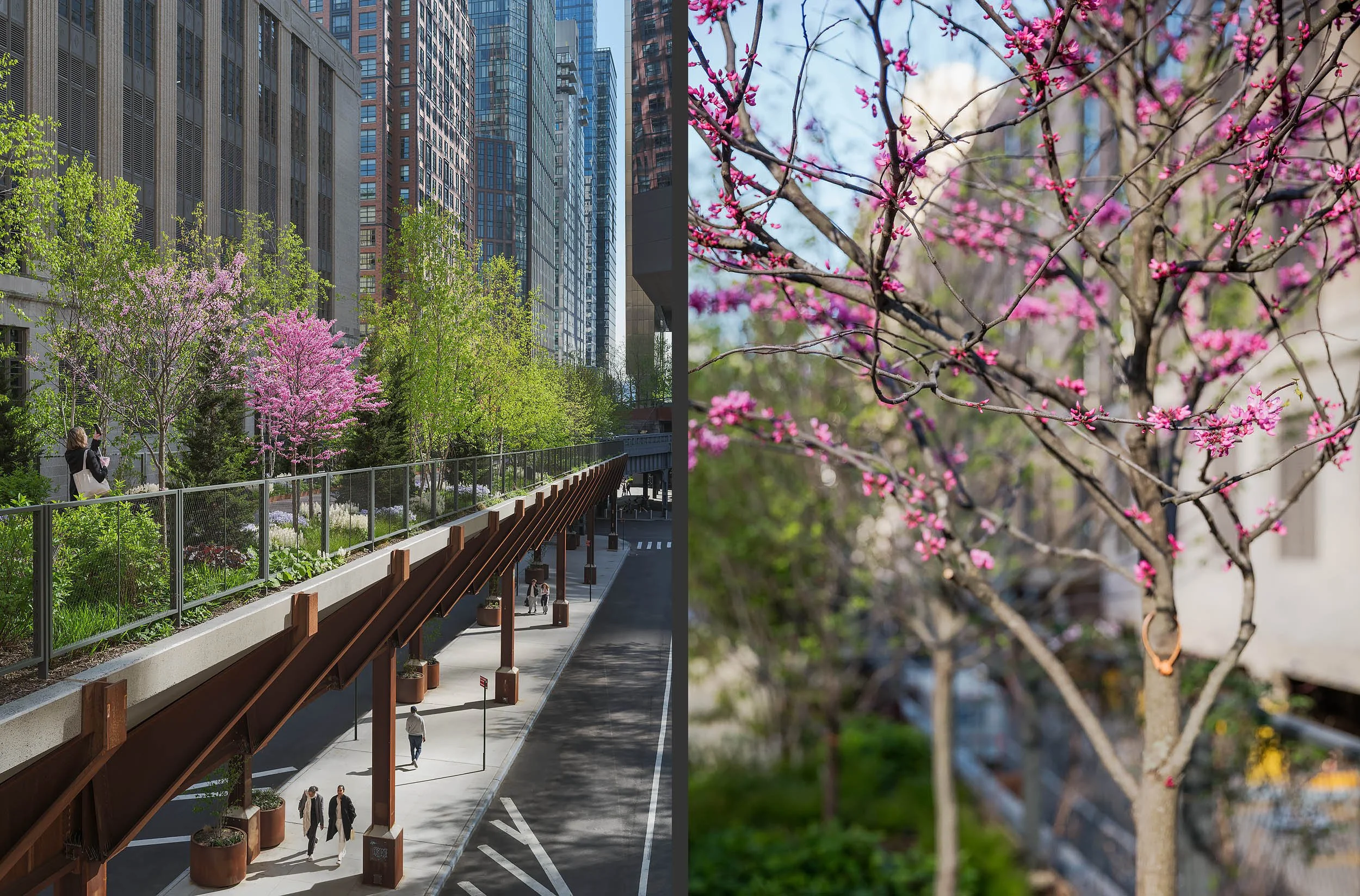 Highline Moynihan Connector