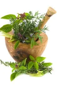 herbs.jpg