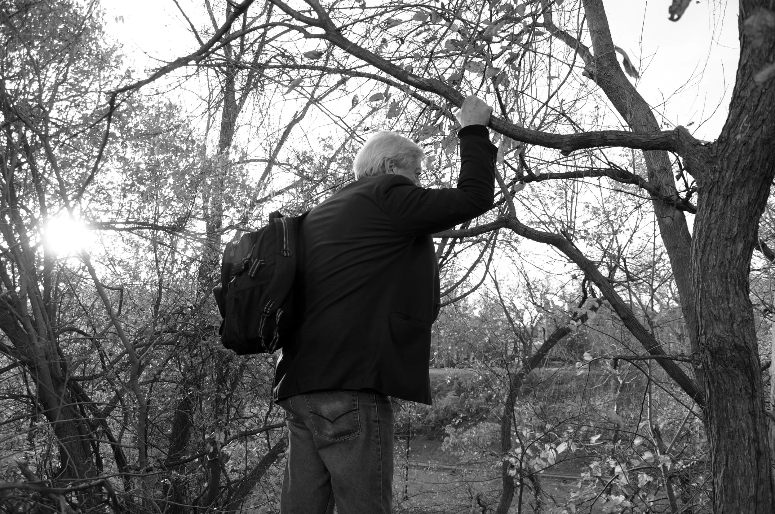  Dr. Anthony Martinez grabs onto a tree to steady himself as he looks around Rock Creek Park. 