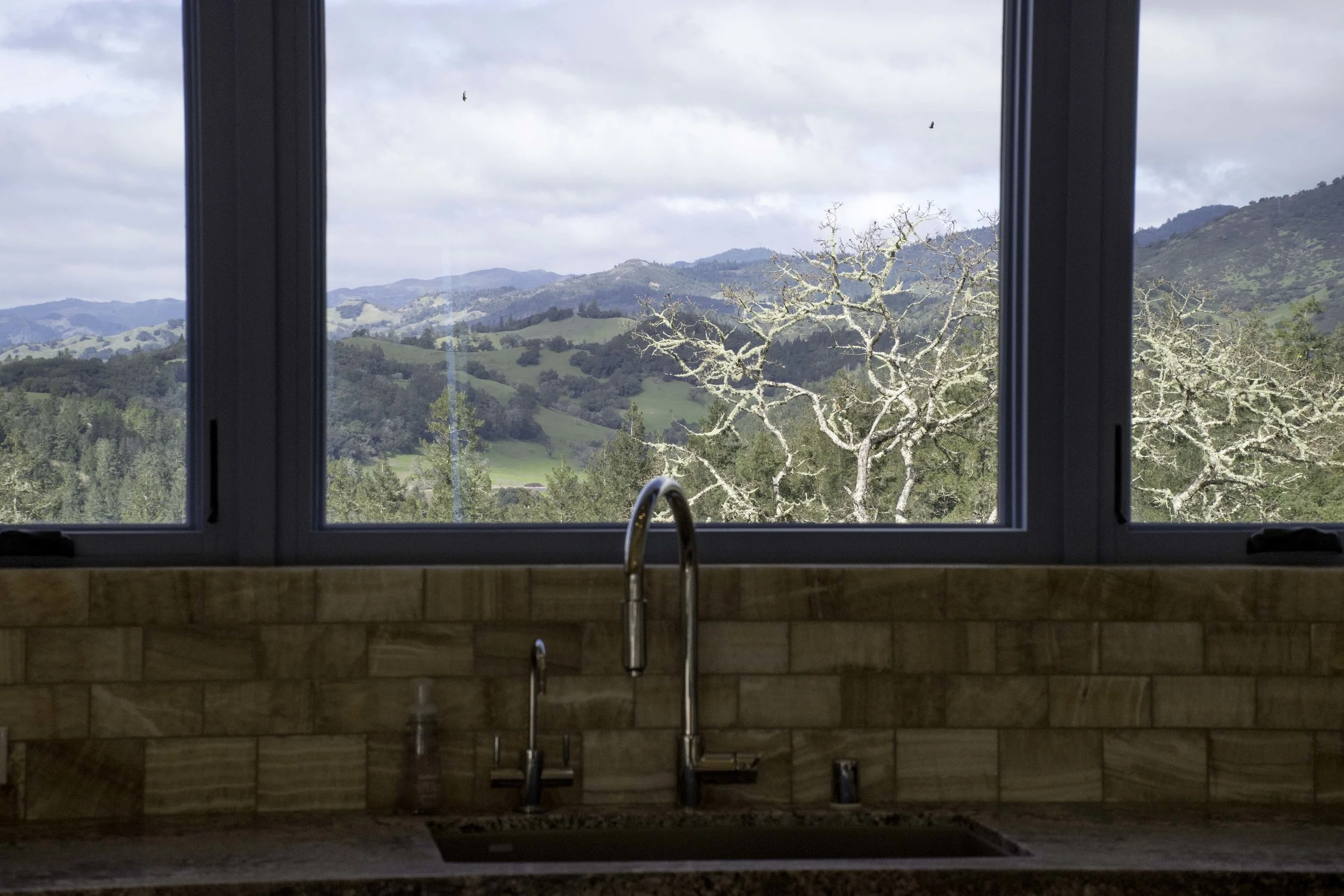 AJD House - Calistoga-114_1.jpg