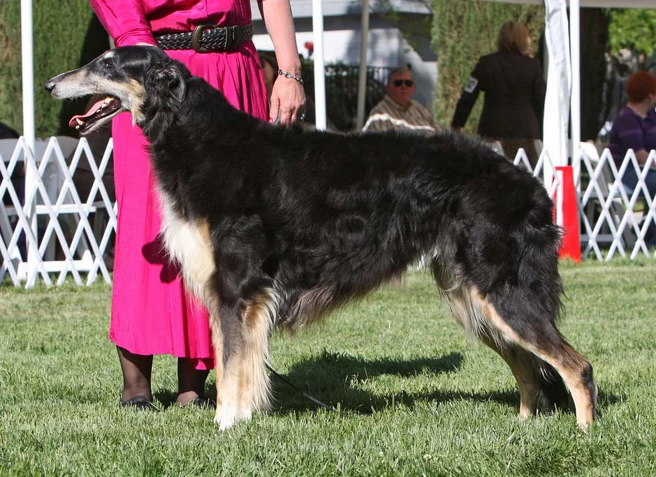 Hurricane from National.jpg