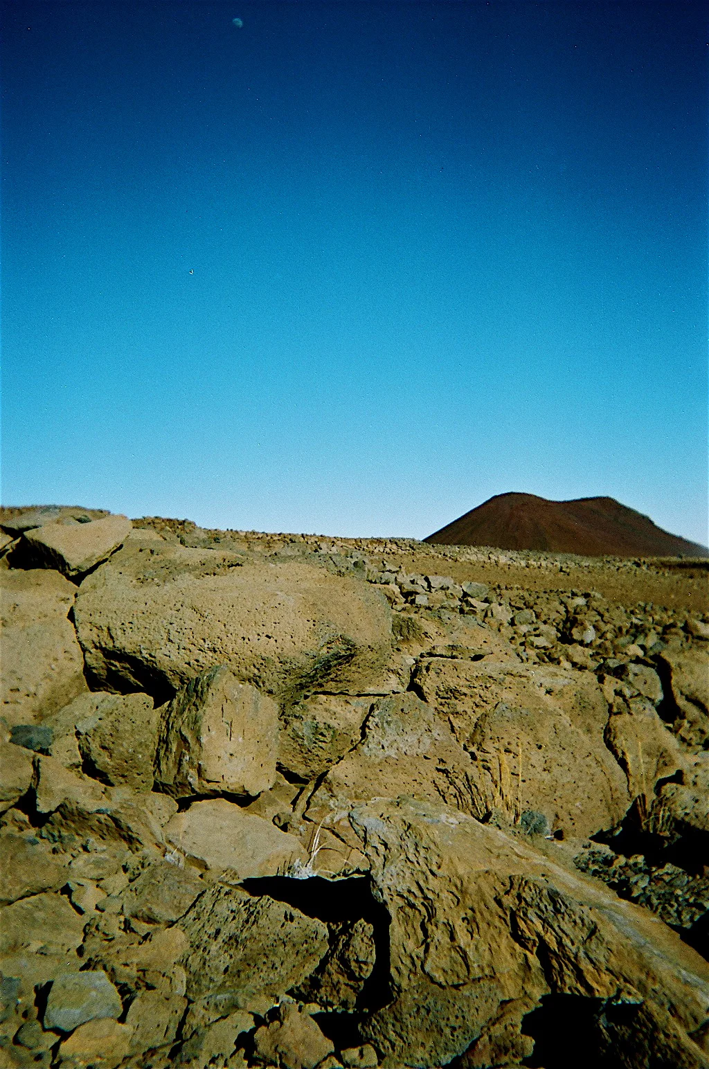67250024.JPG