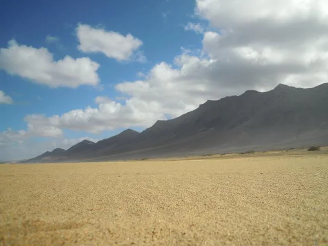 DSCN8188-s.jpg