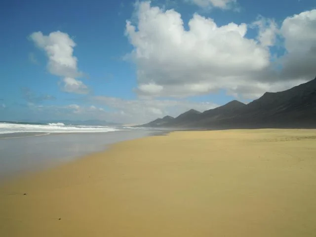 DSCN8200-s.jpg