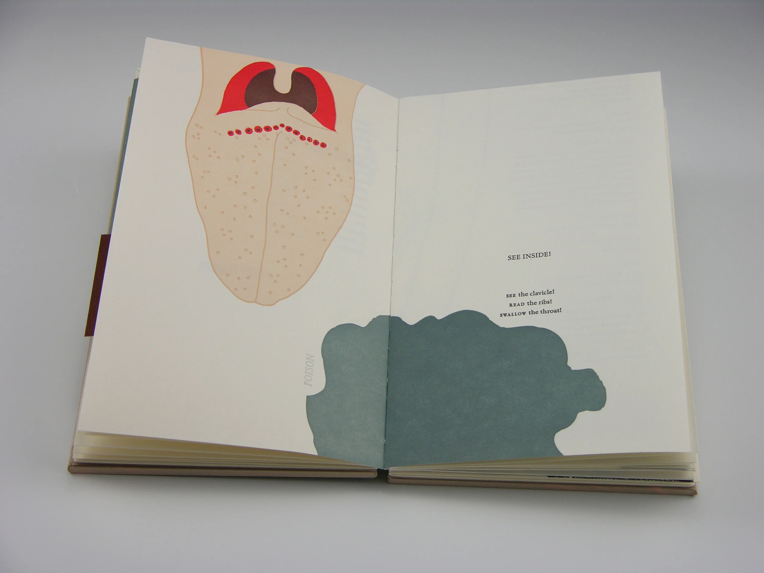 American Breeding Standards — Interior spread