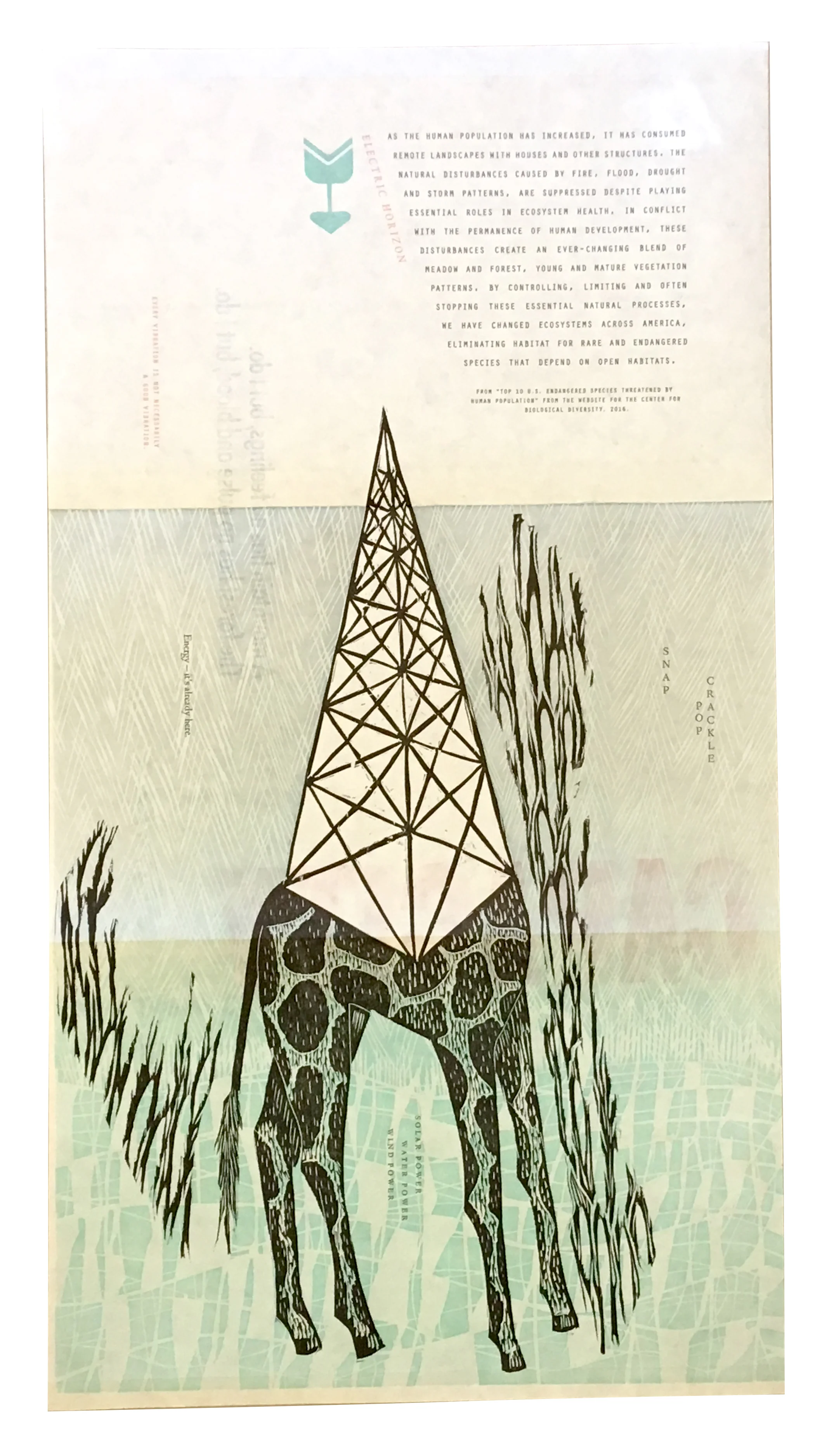 Giraffe_full_pg.jpg