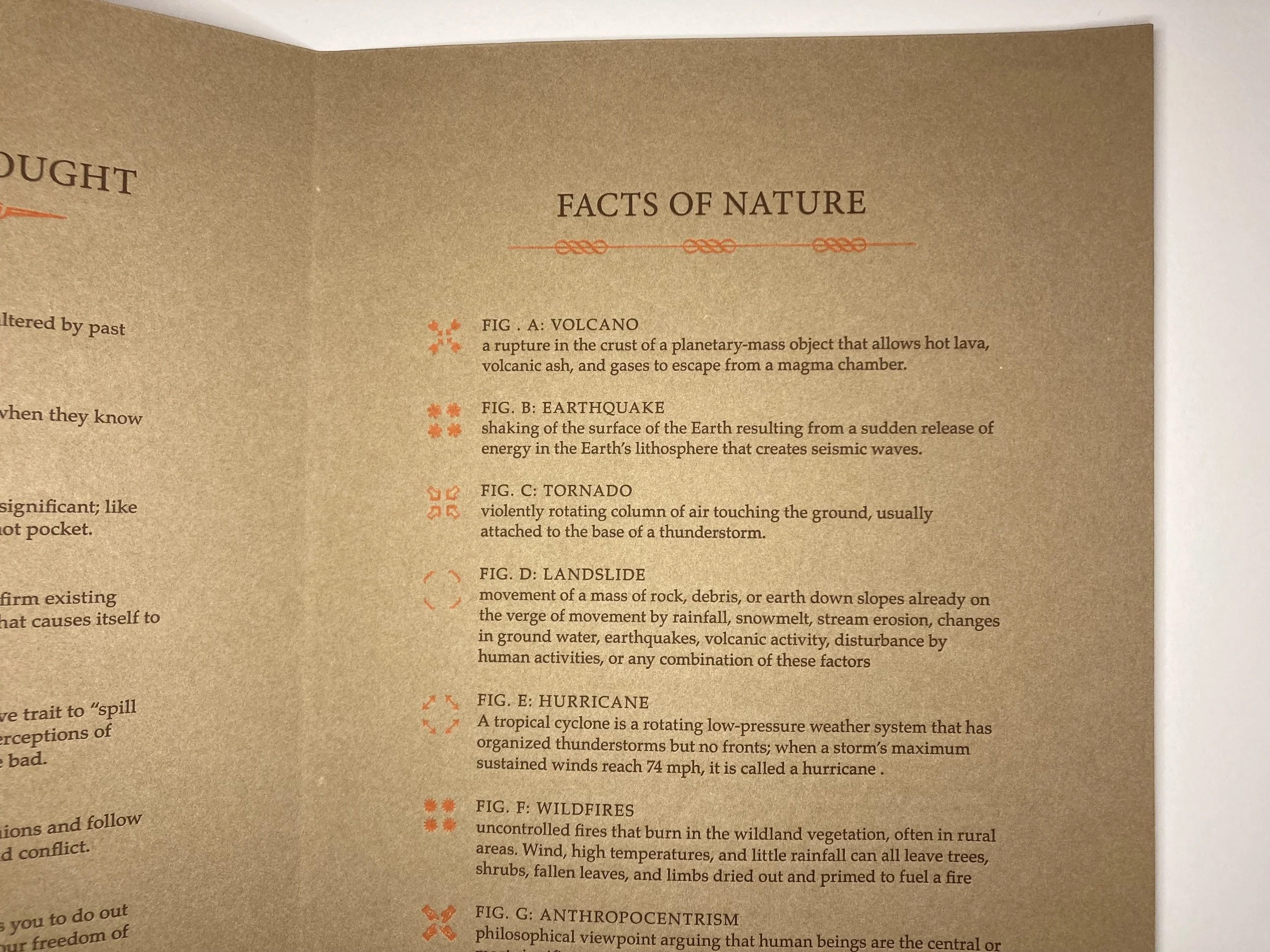 CROP Menu Facts.jpeg