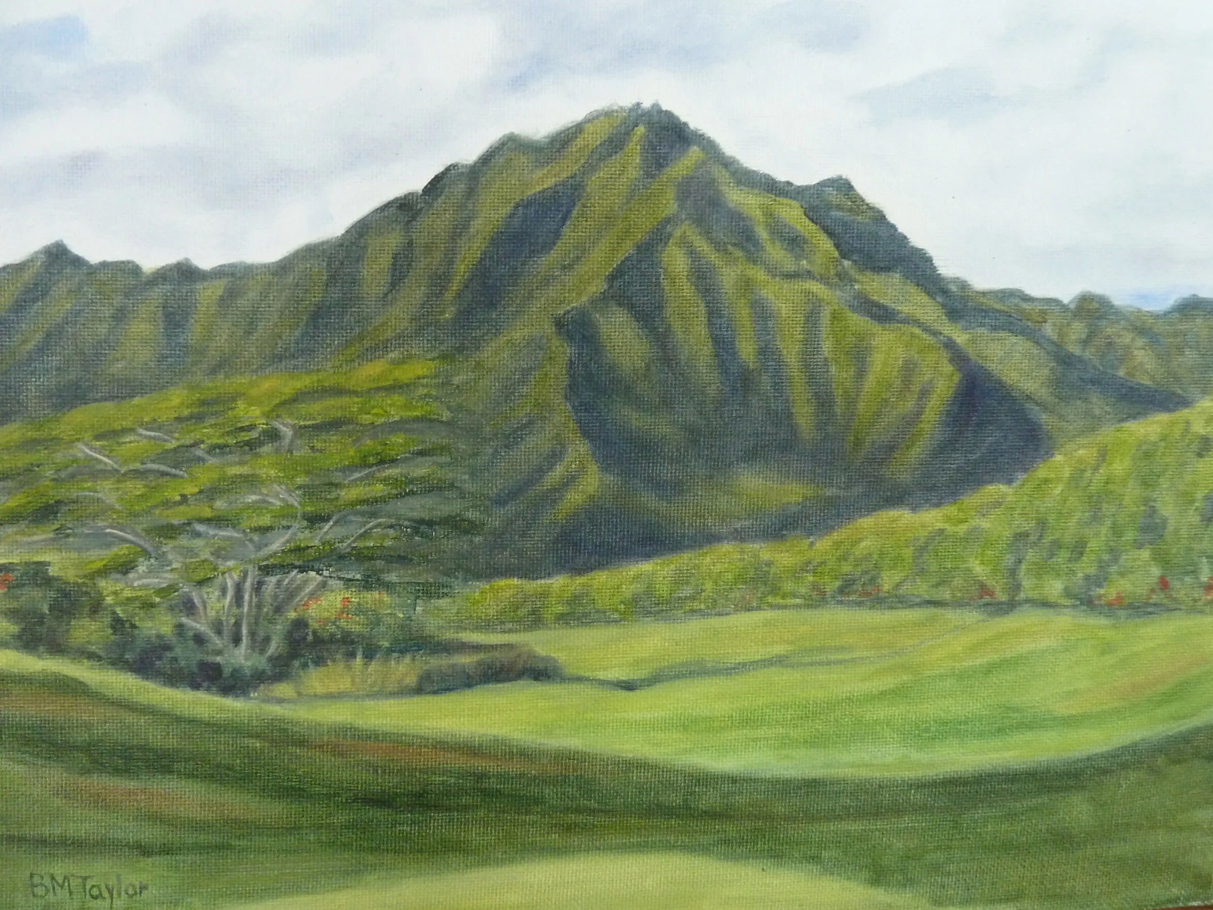 View from Golf Course in Kauai