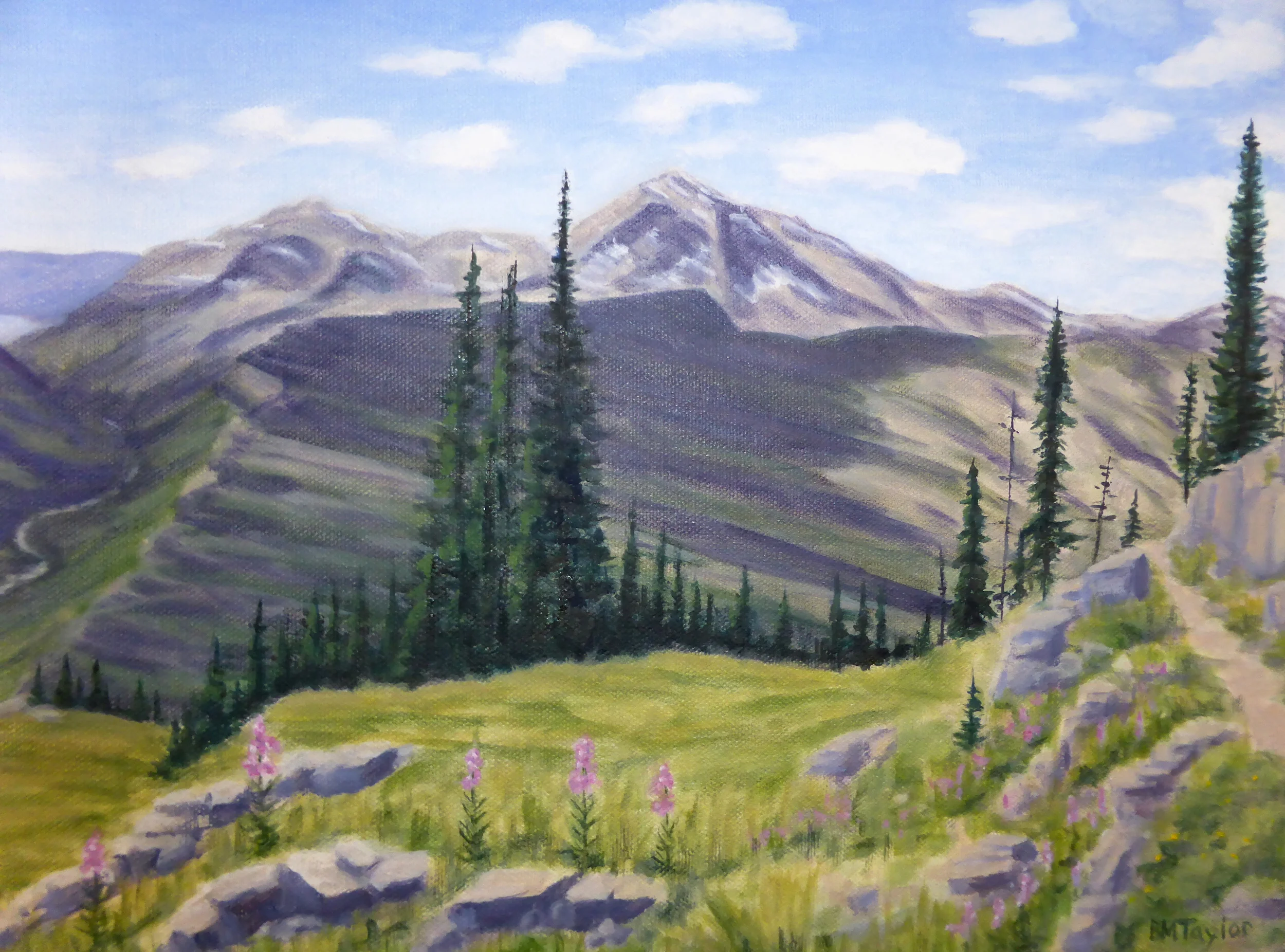 View from the Highline Trail, GNP