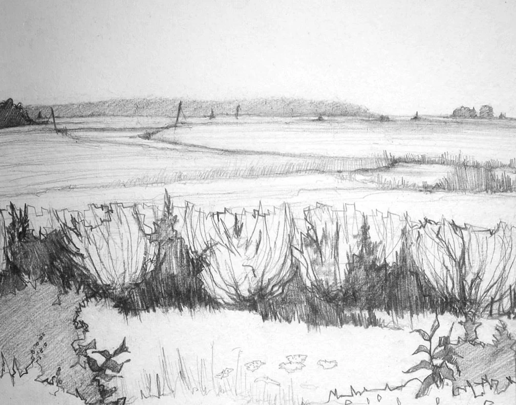 estuary facing north copy.jpg